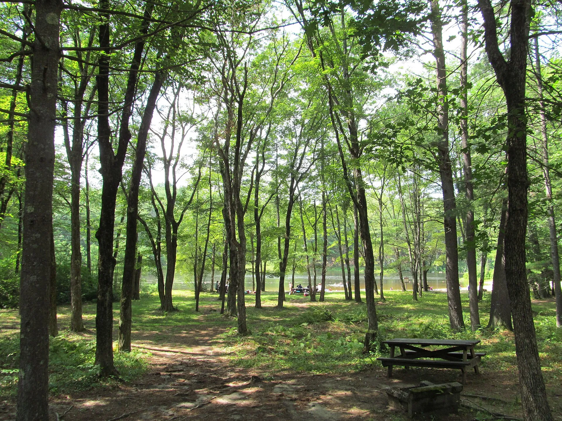 Pearl Hill State Park, Townsend Massachusetts.