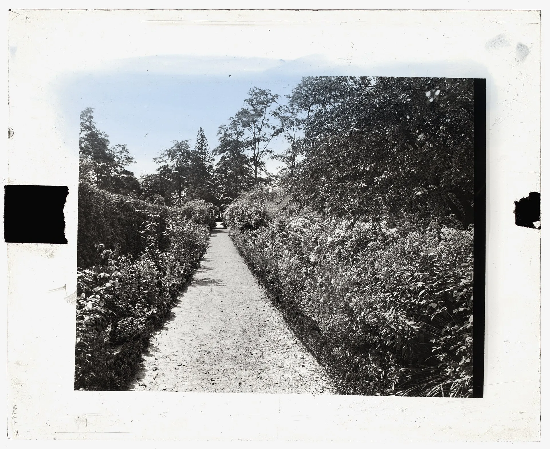 Title: "Indian Hill Farm," Moseley Family, West Newbury, Massachusetts. Flower border