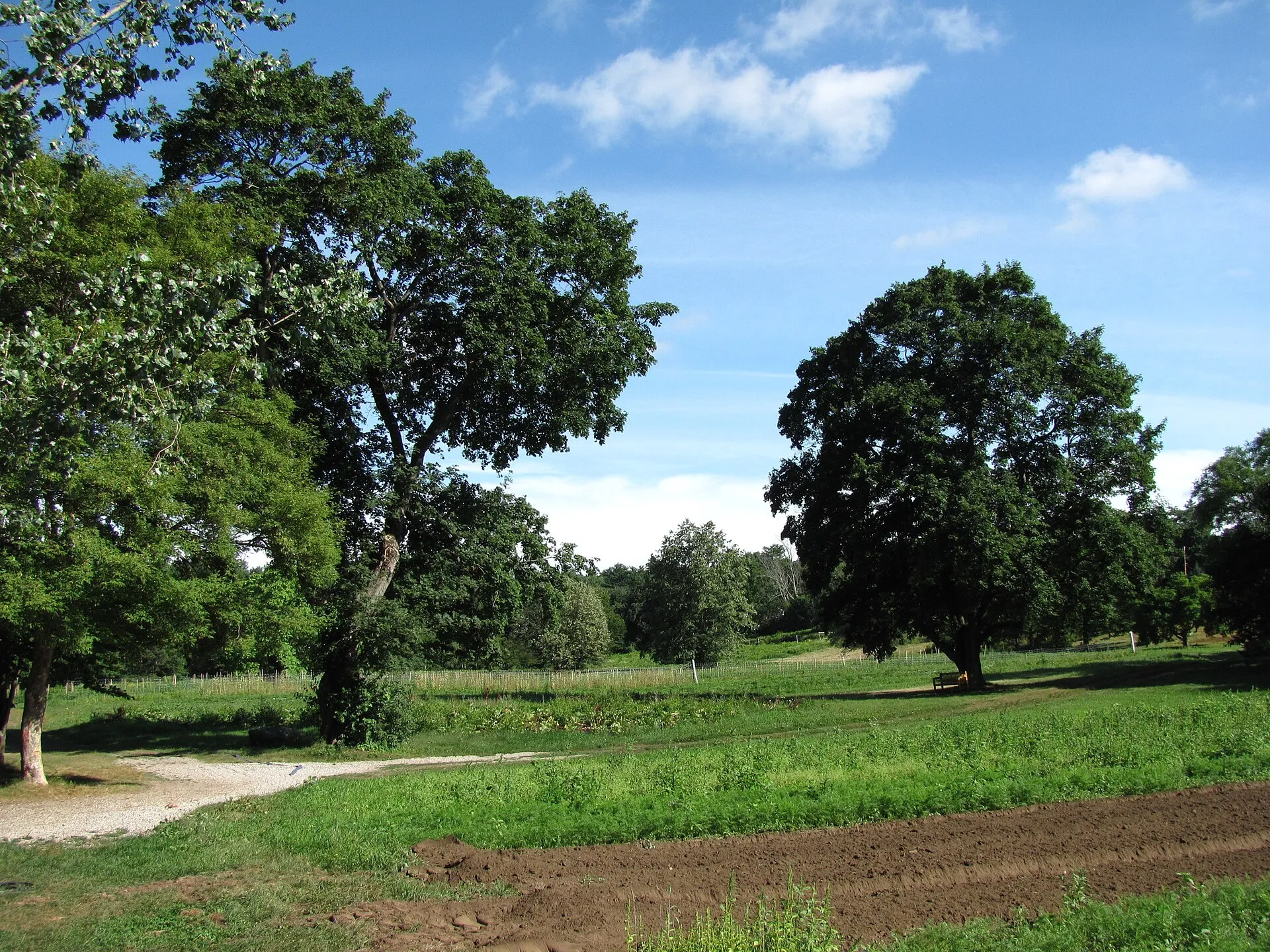 Land's Sake Farm, Weston Massachusetts.