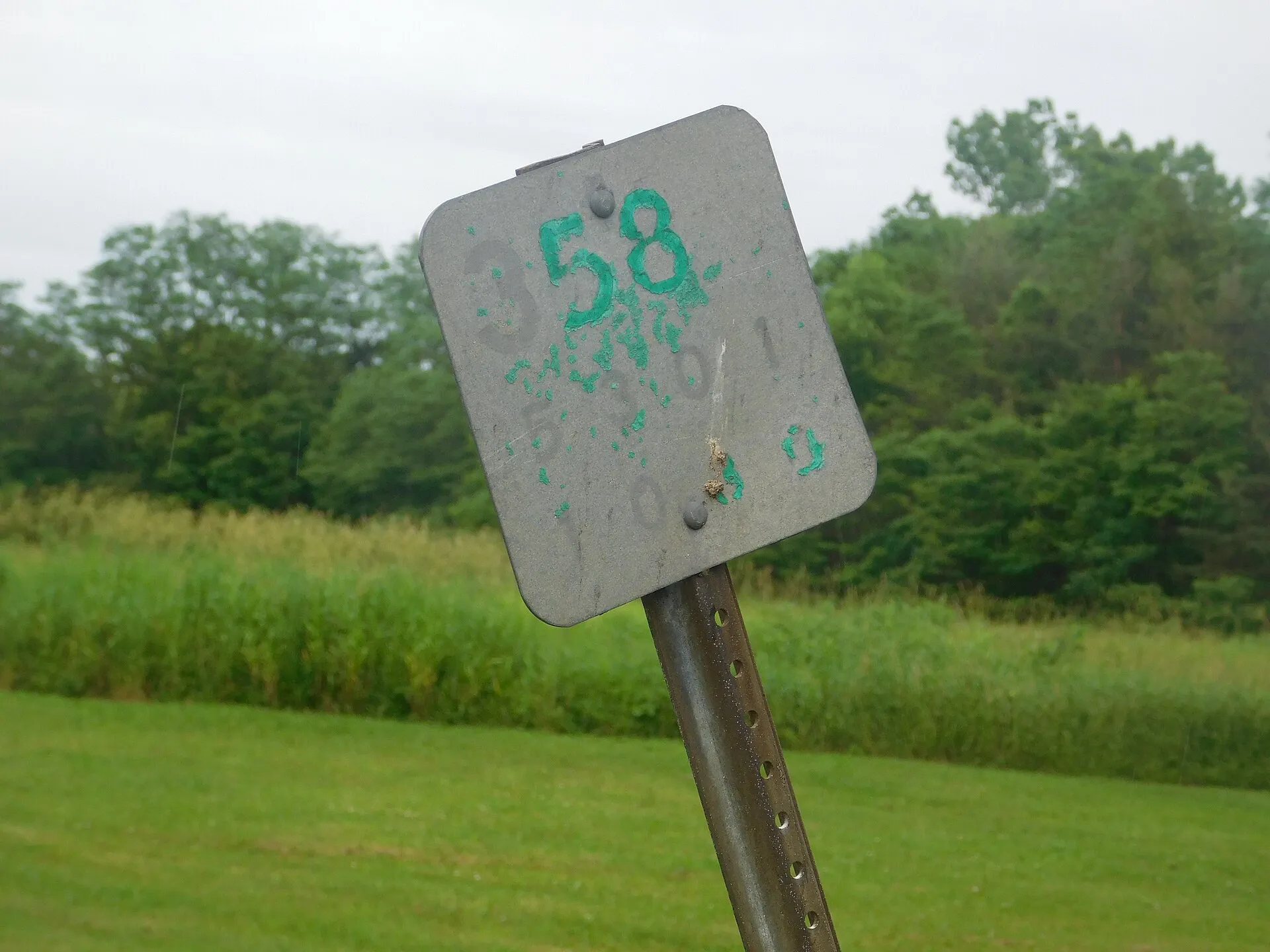 NY Route 358 signage in Alden