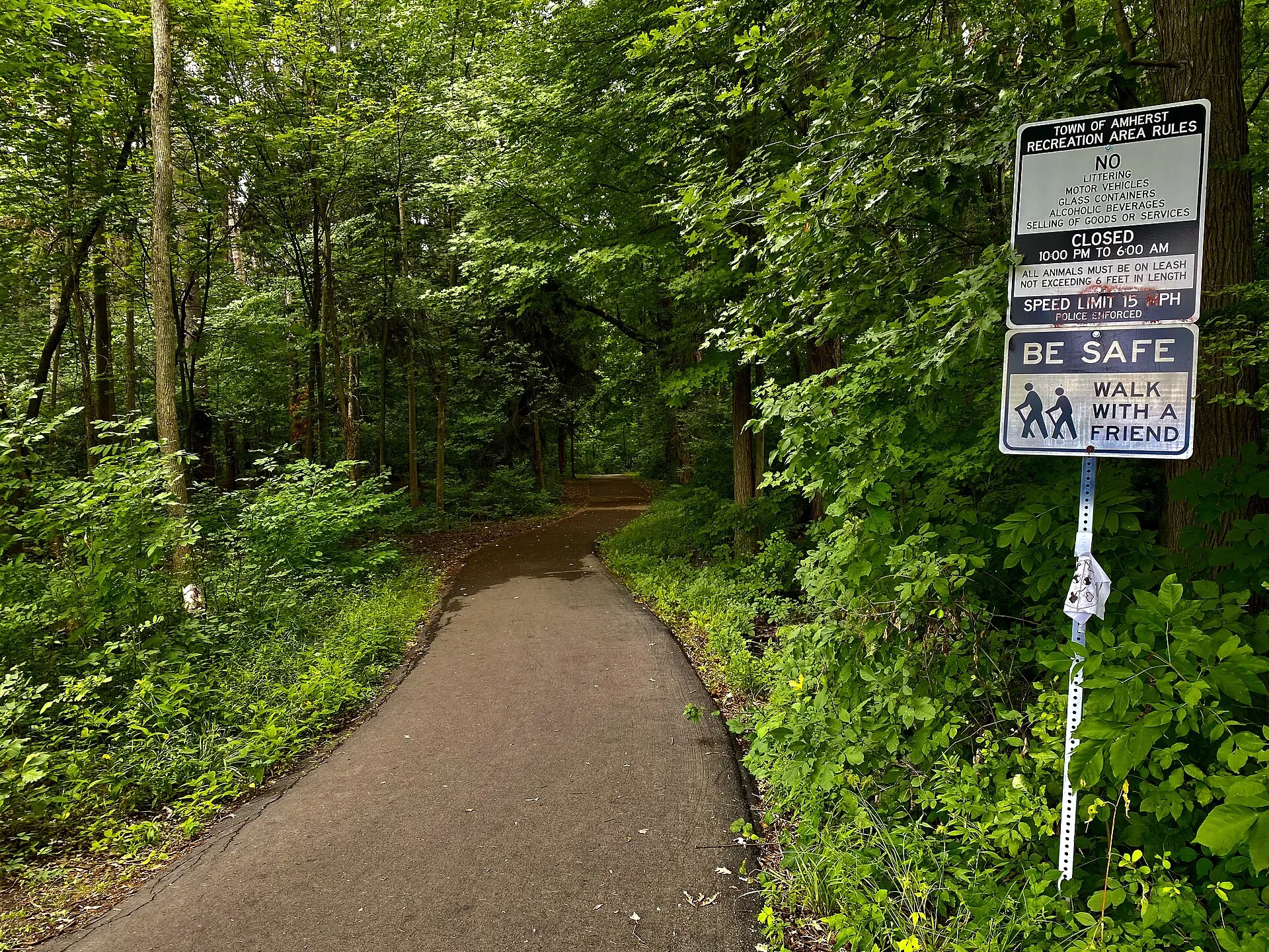 Trail at Walton Woods Park