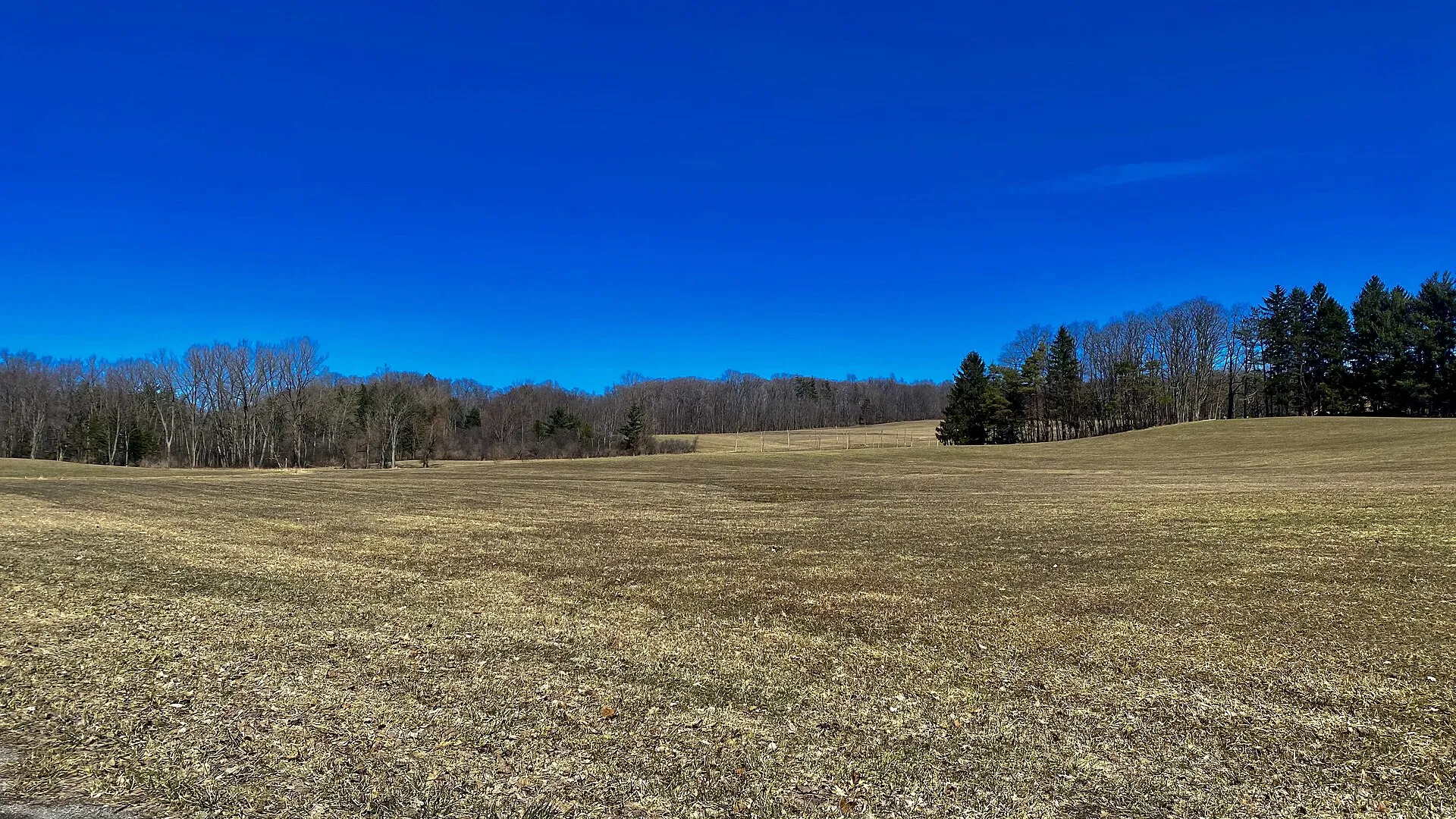 Rural scenery off Jewett Holmwood Road, Town of Aurora