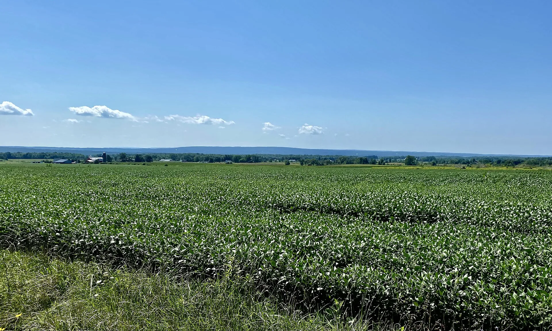 Rural landscape off Sisson Highway, Town of Collins