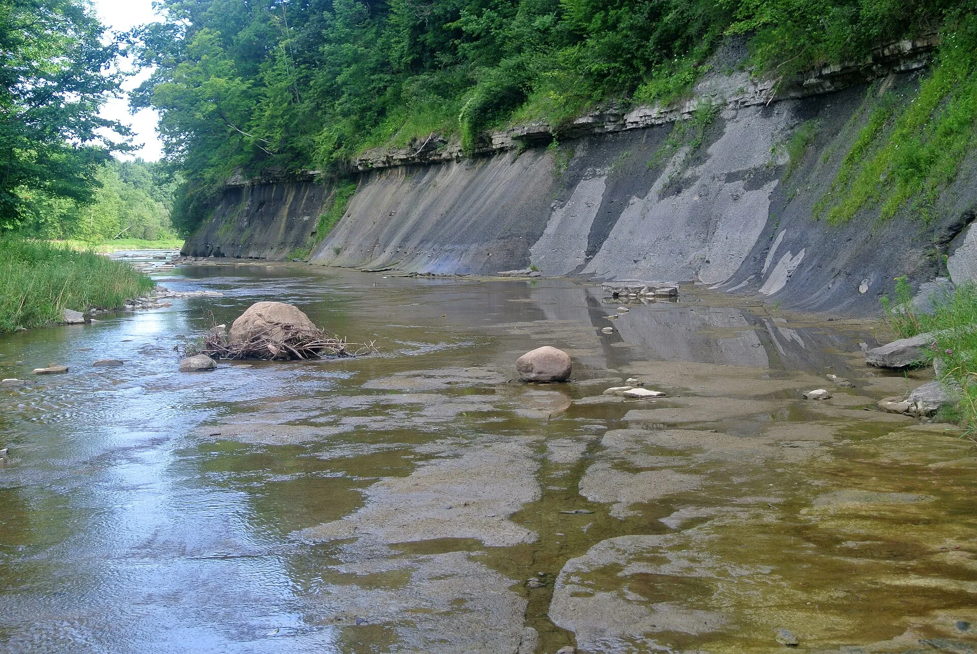 Buffalo Creek, Elma