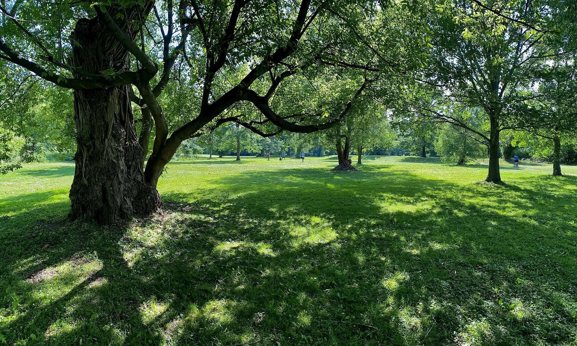 Como Lake Park