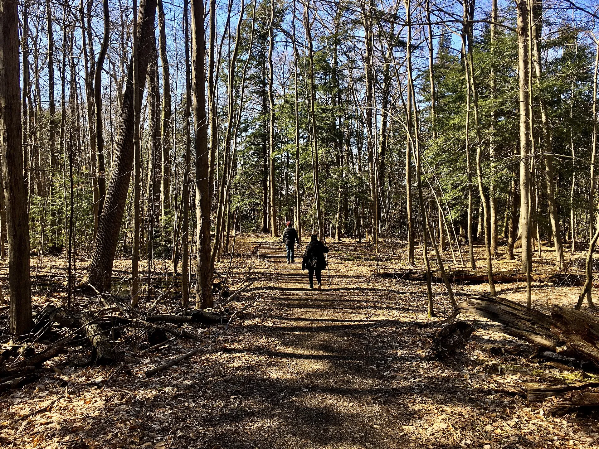 Chestnut Ridge Park