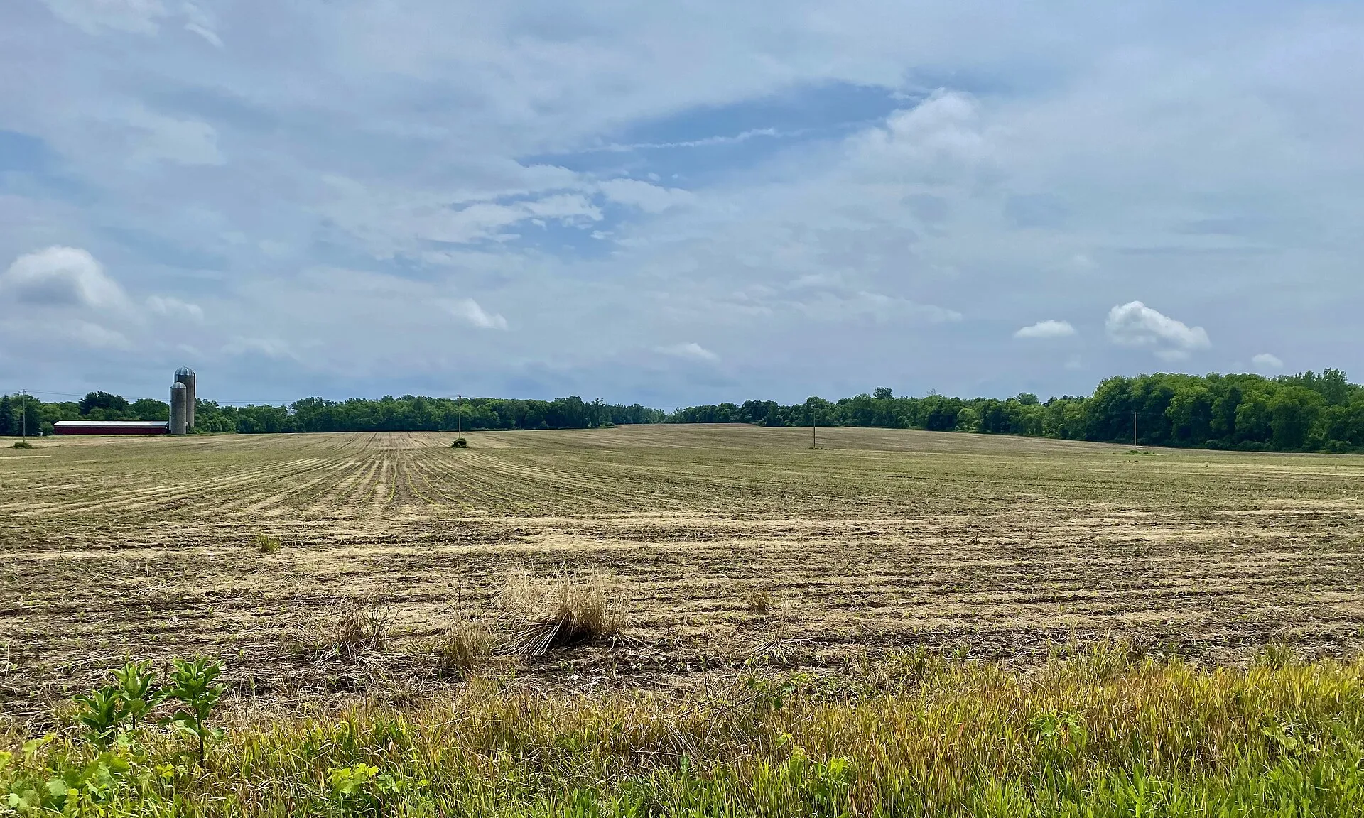 Farmland off Rochester Road