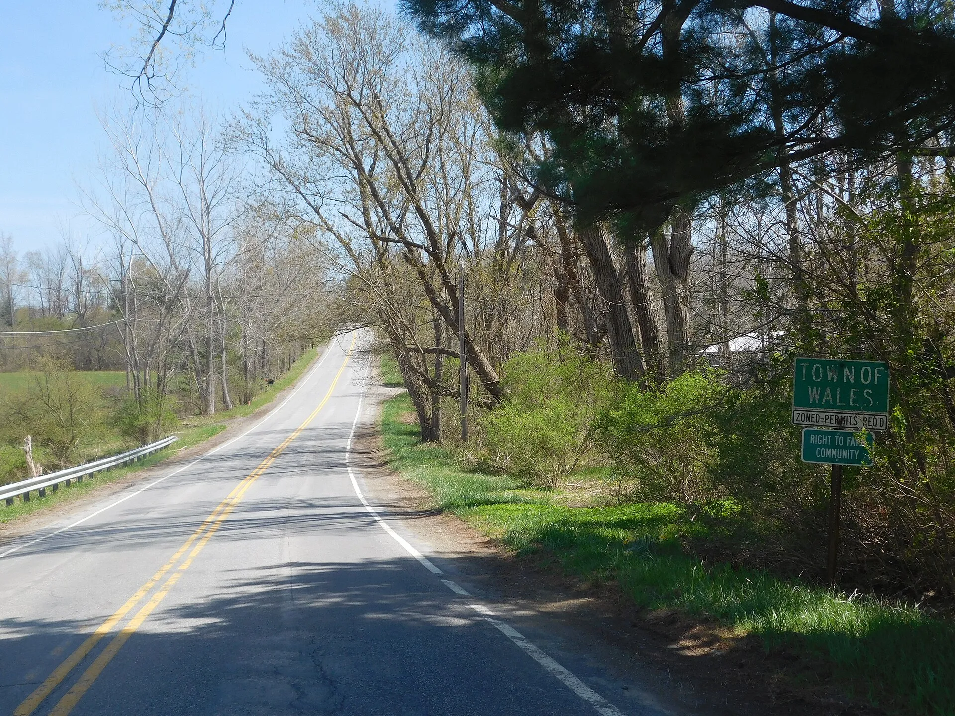 Erie County Route 175 at the Wales town line