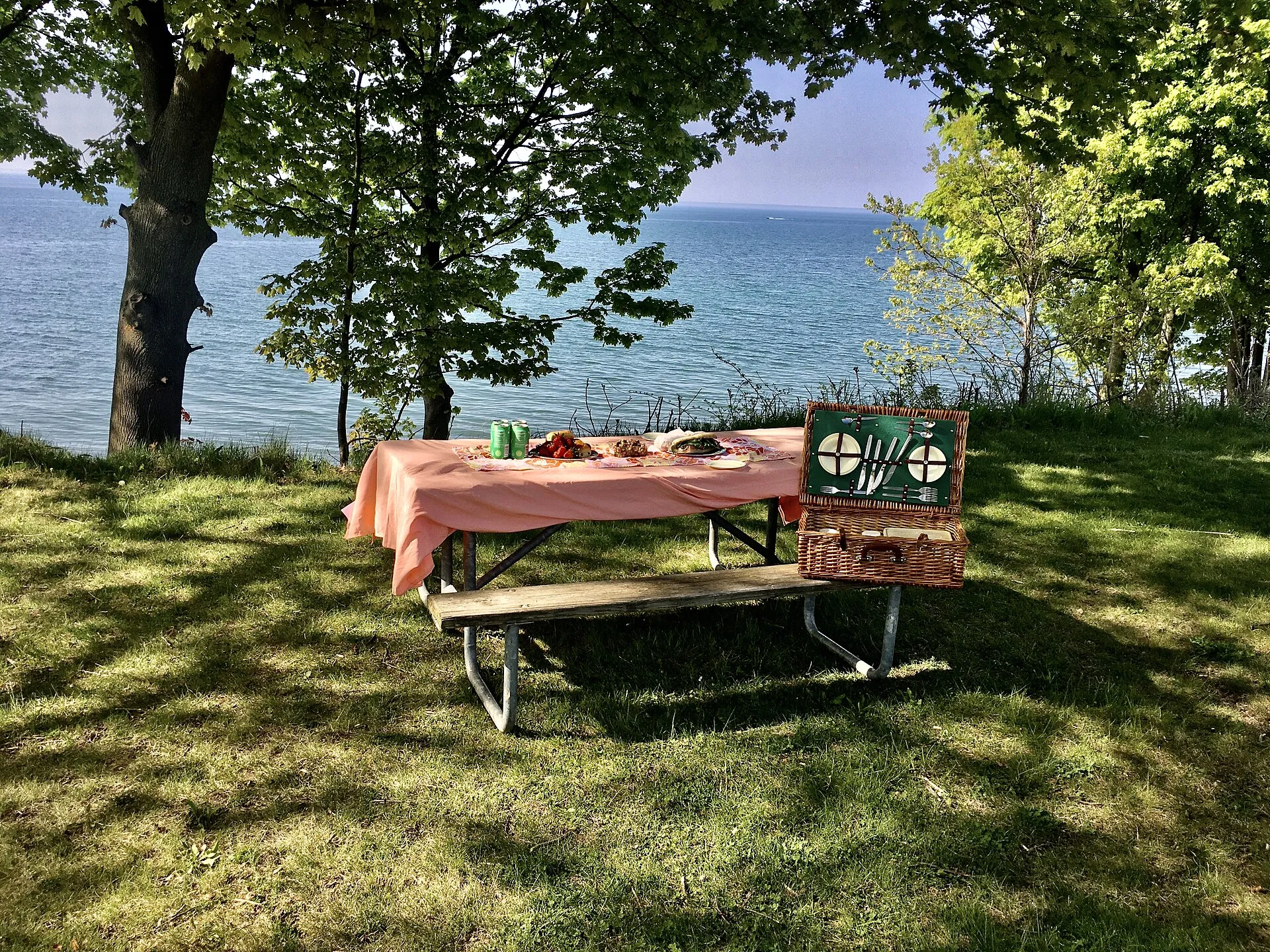 Picnic at Wilson-Tuscarora State Park