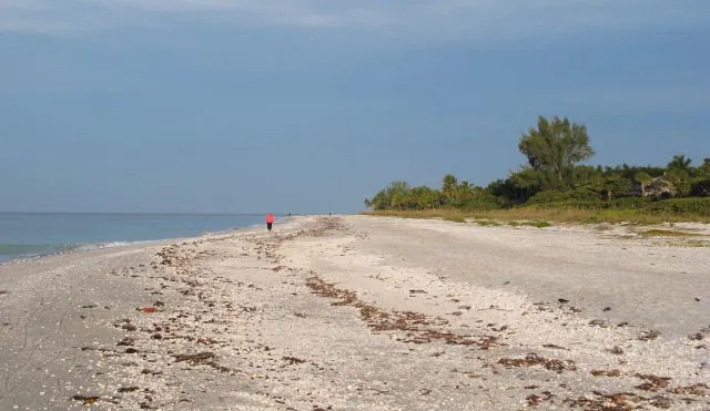 Shell-covered beach at West Gulf Drive beach access #7, Sanibel.