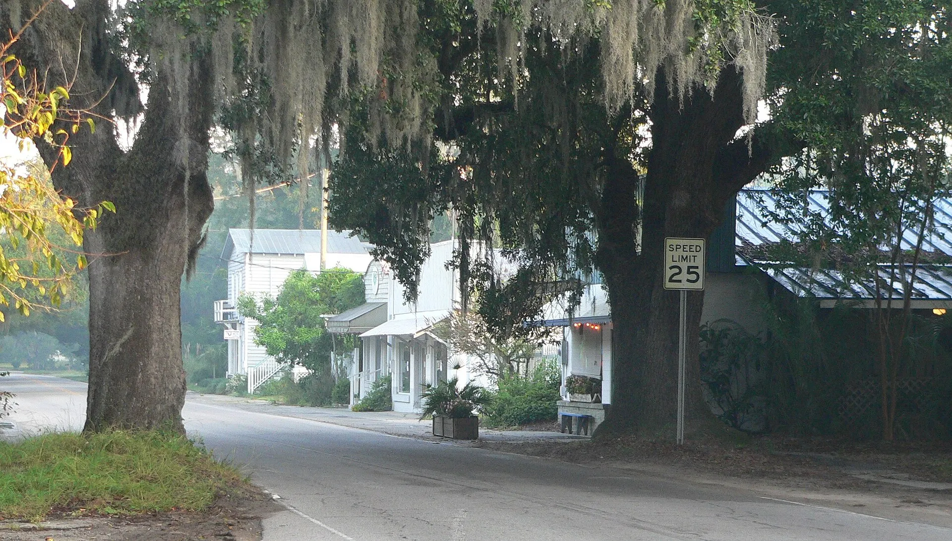 Pinckney Street in downtown McClellanville.