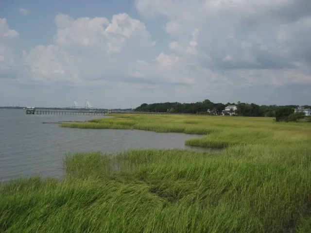 The old Pitt Street Bridge, now a park in the Old Village.