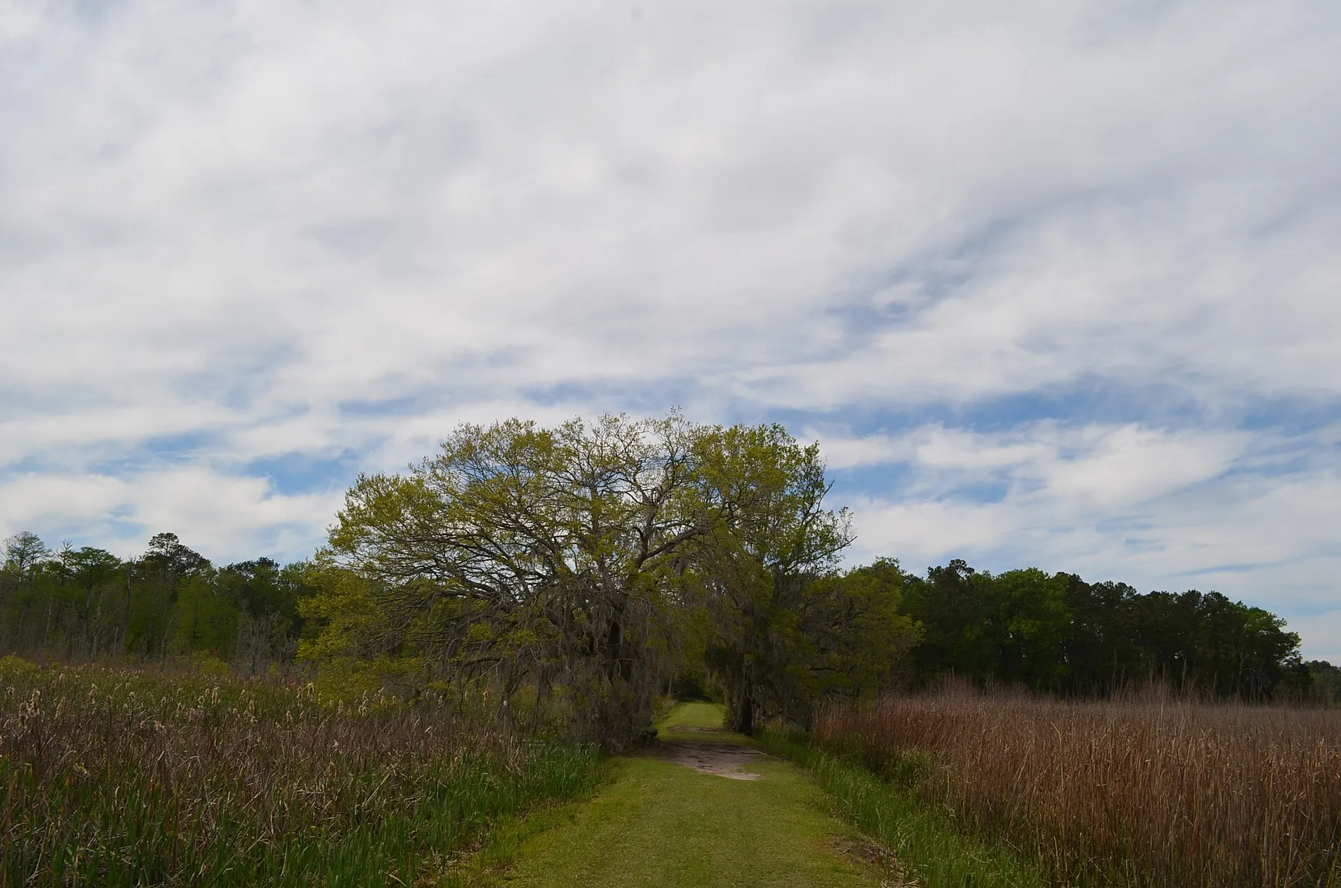 The Caw Caw Interpretive Center, Ravenel.