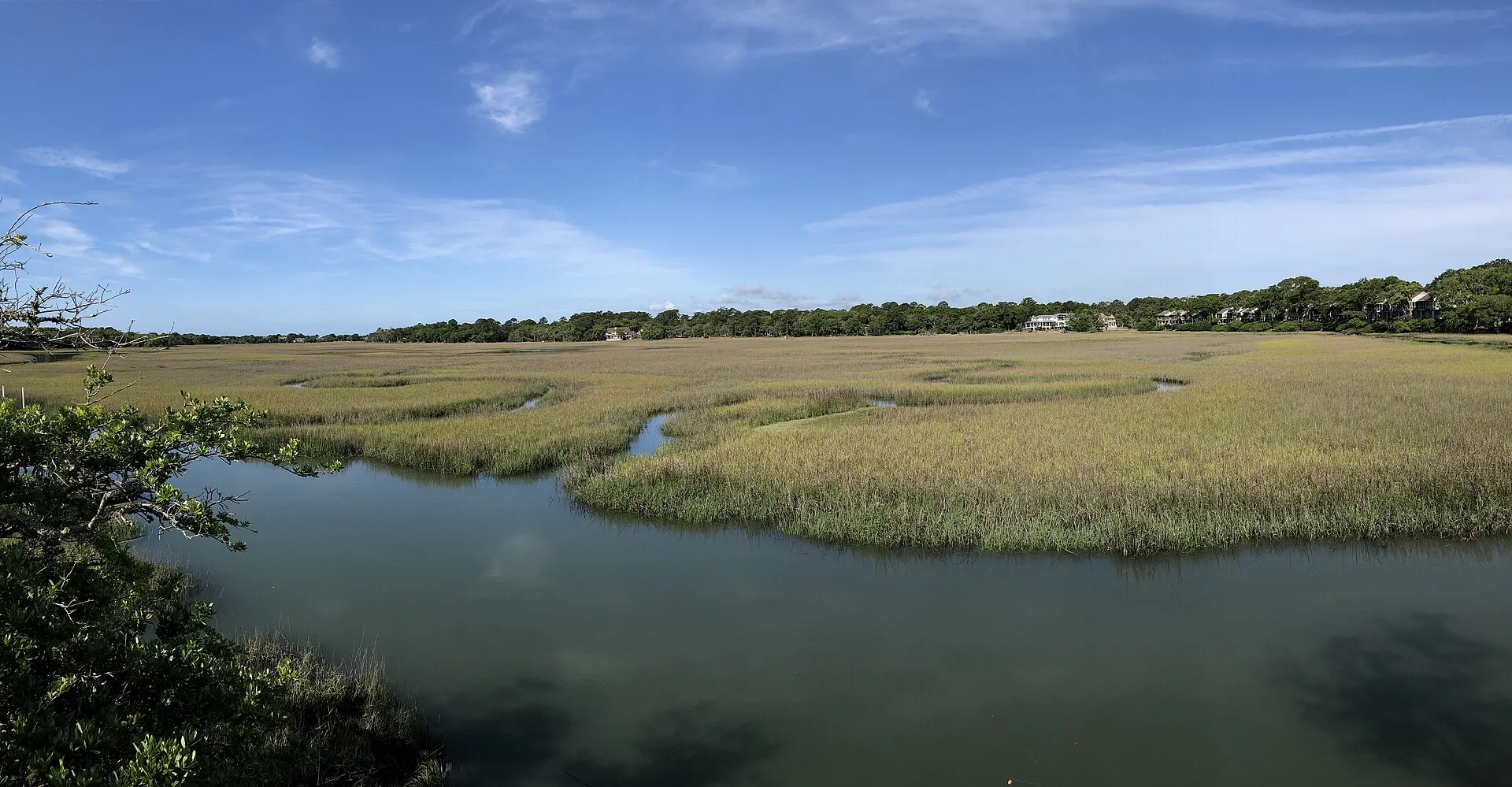 Salt marsh on Seabrook Island.