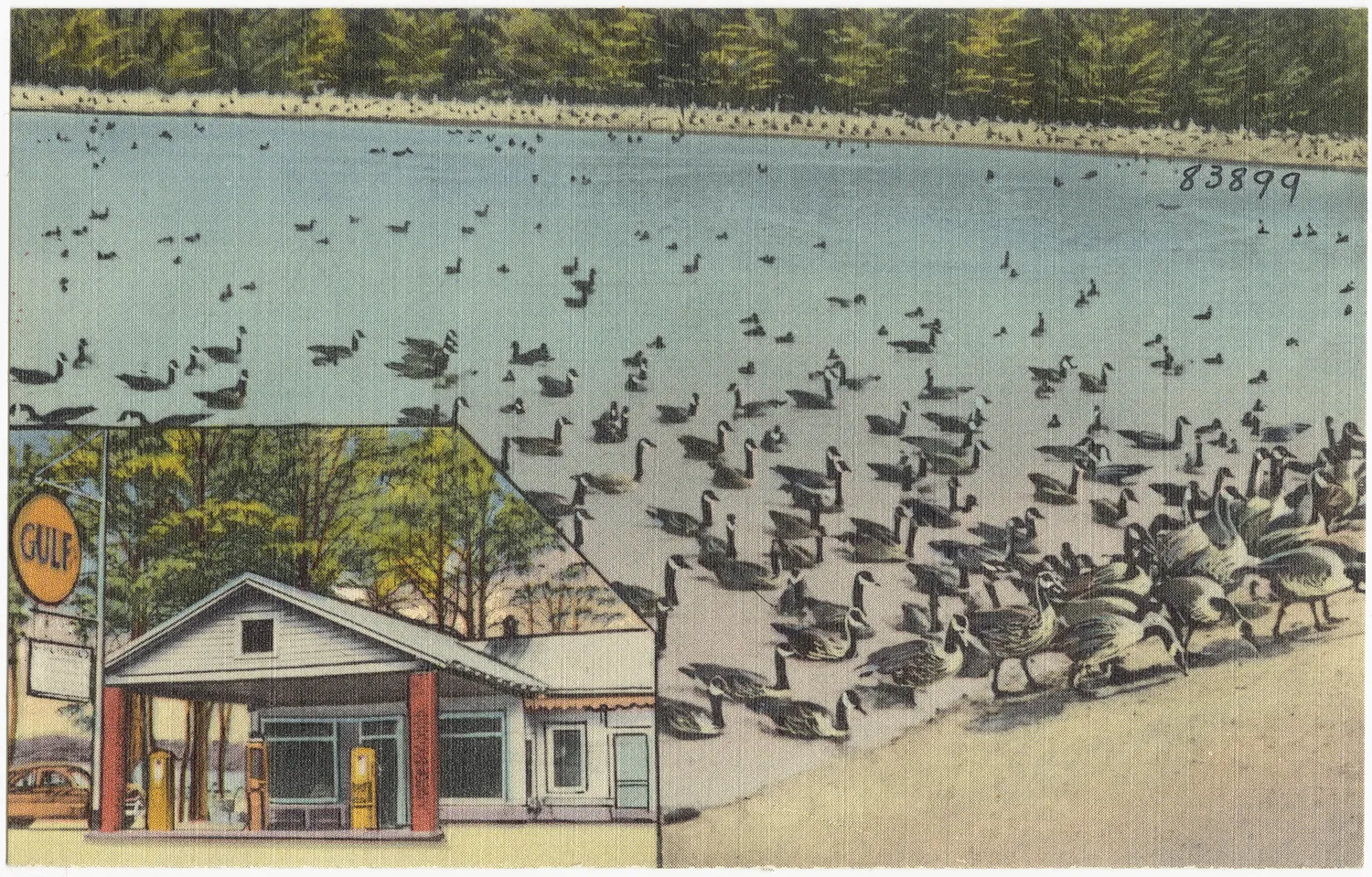 File name: 06_10_015741 Title: R. L. Ingold's Wild Goose Pond, 1 mile south of Ansonville, N. C., on Highway 52 Created/Published: Nationwide Speciality Co., Arlington, Texas Date issued: 1930 -...