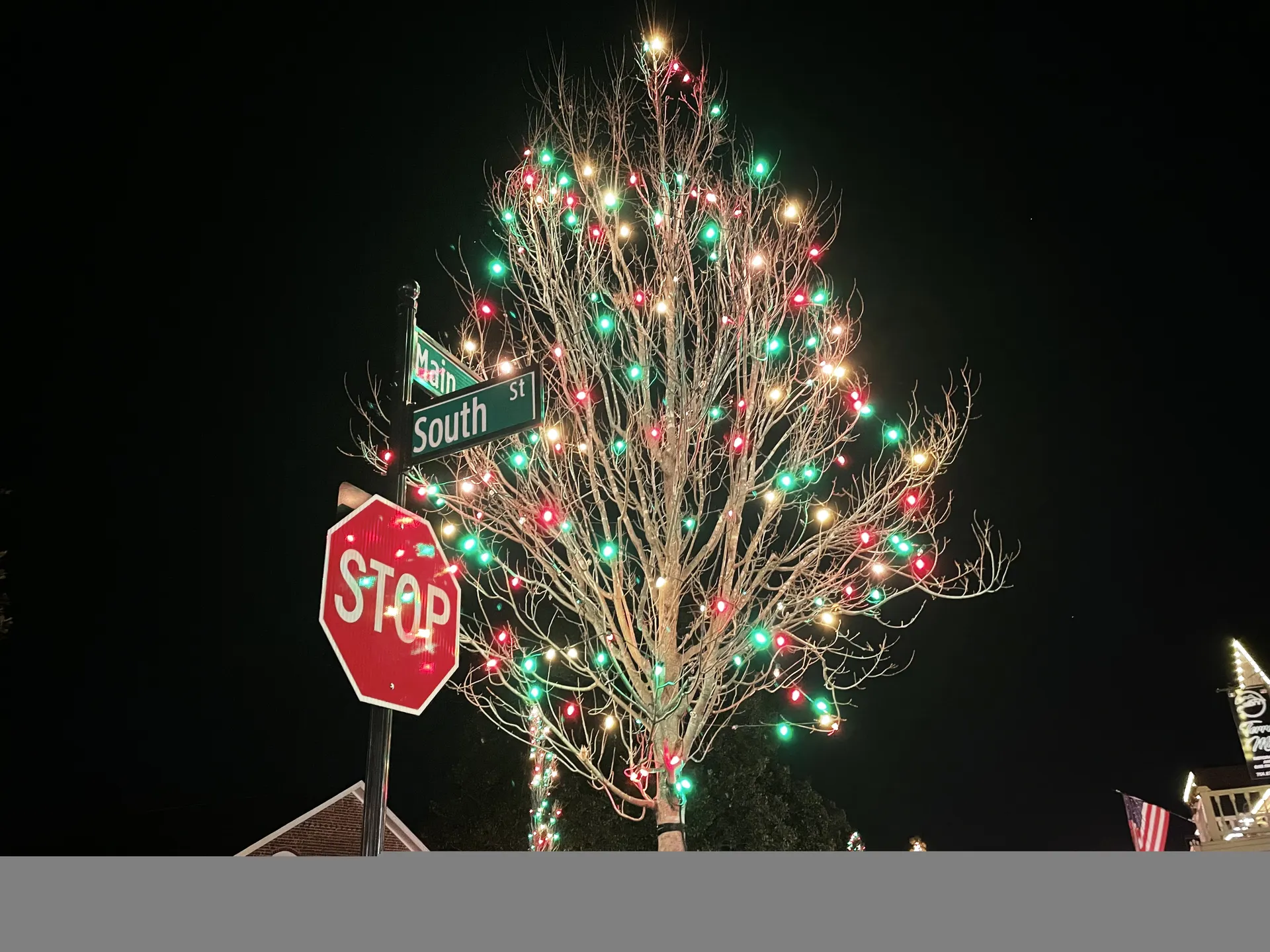 Nearby Dellview area: A tree decorated with Christmas light McAdenville Town