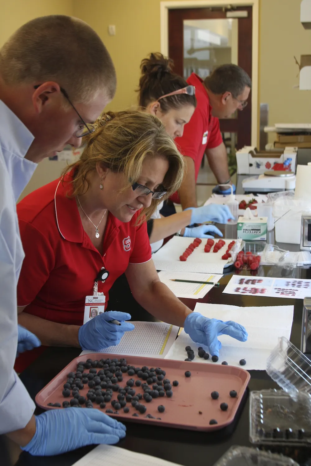 N.C. Cooperative Extension agents and specialists like Diane Ducharme (second from left) attend a training for postharvest handling of fresh produce at N.C. State University's Plants for Human...
