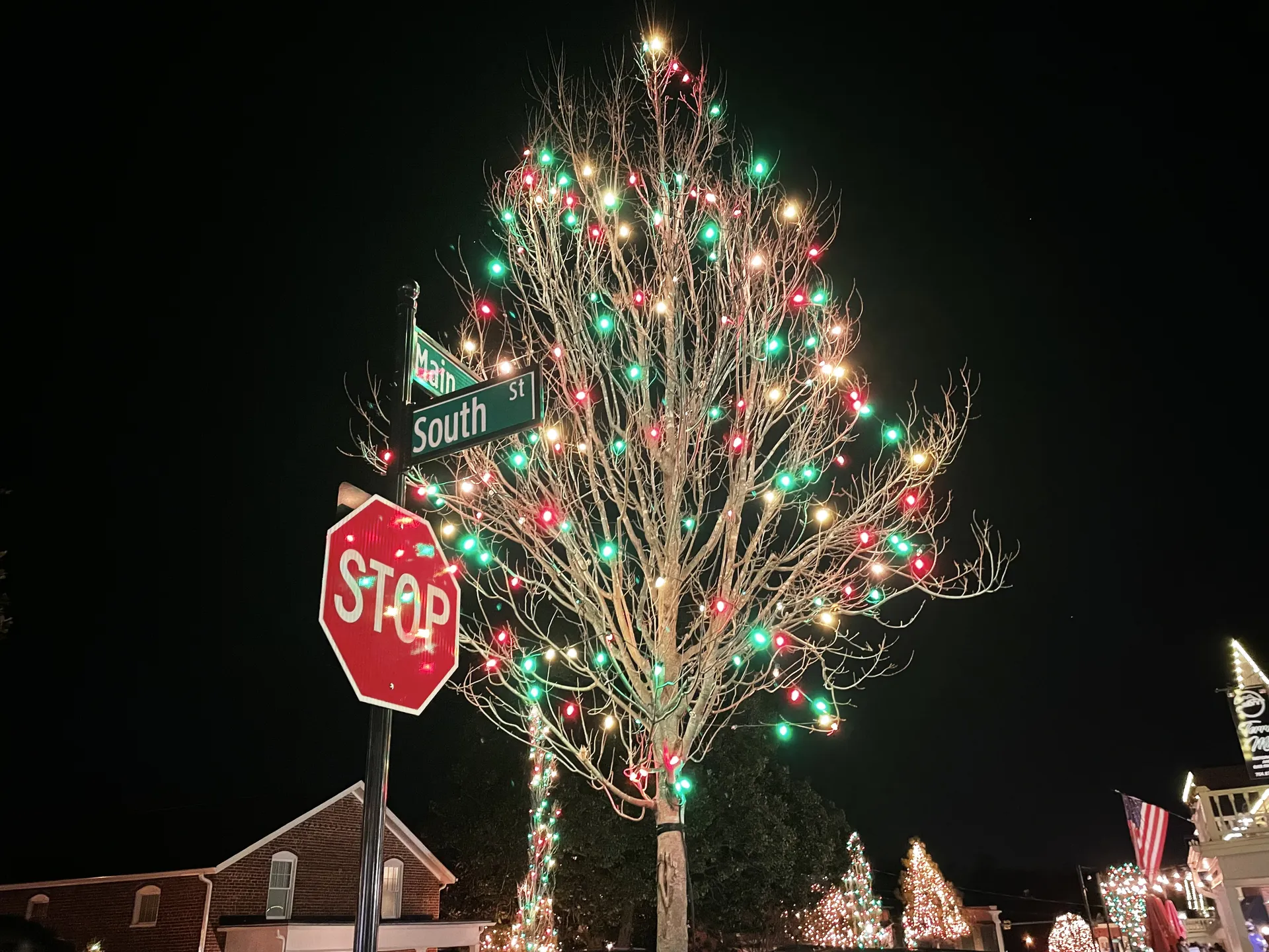 Nearby Lowell area: A tree decorated with Christmas light McAdenville Town