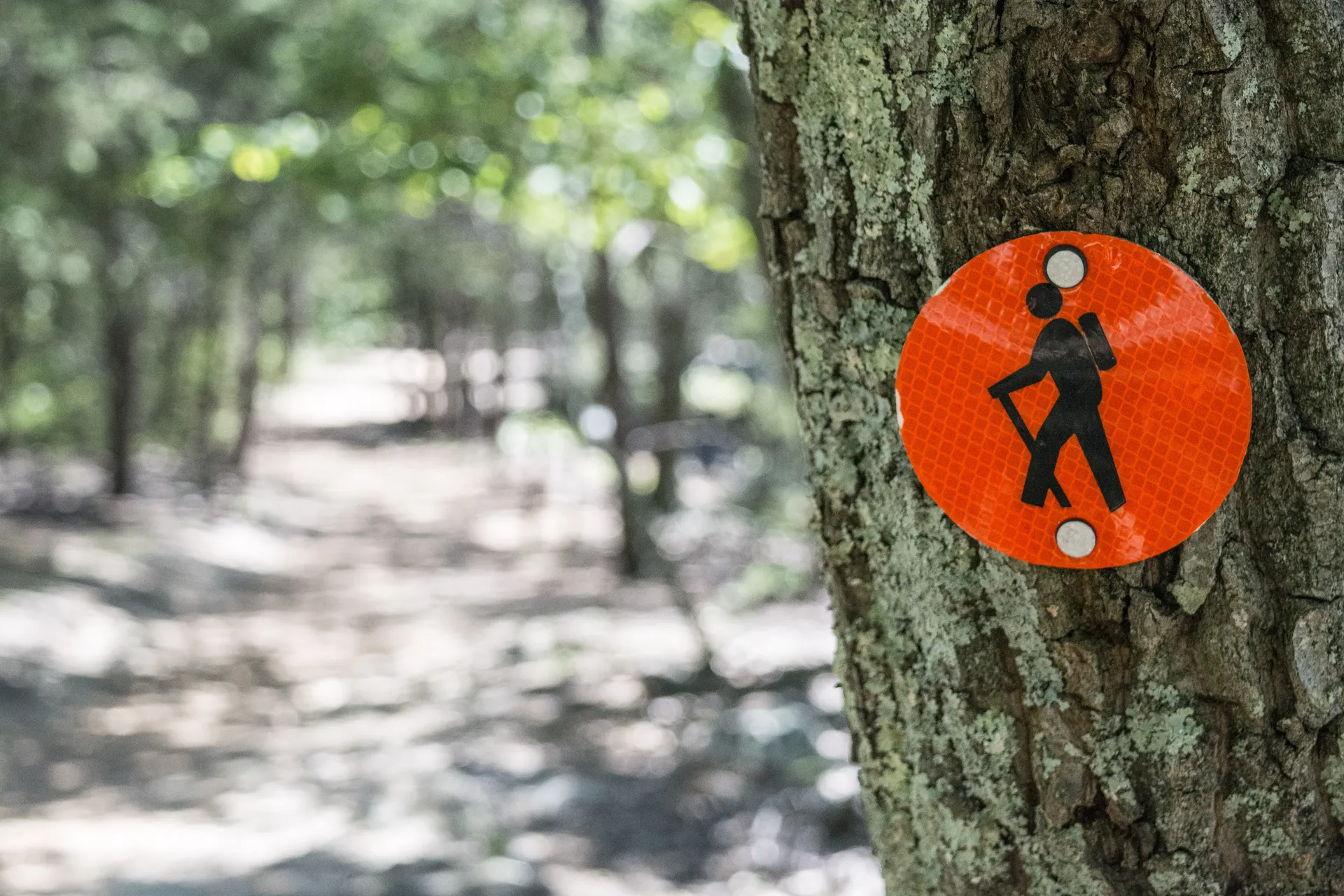 Nearby Lowell area: Crowders Mountain, United States