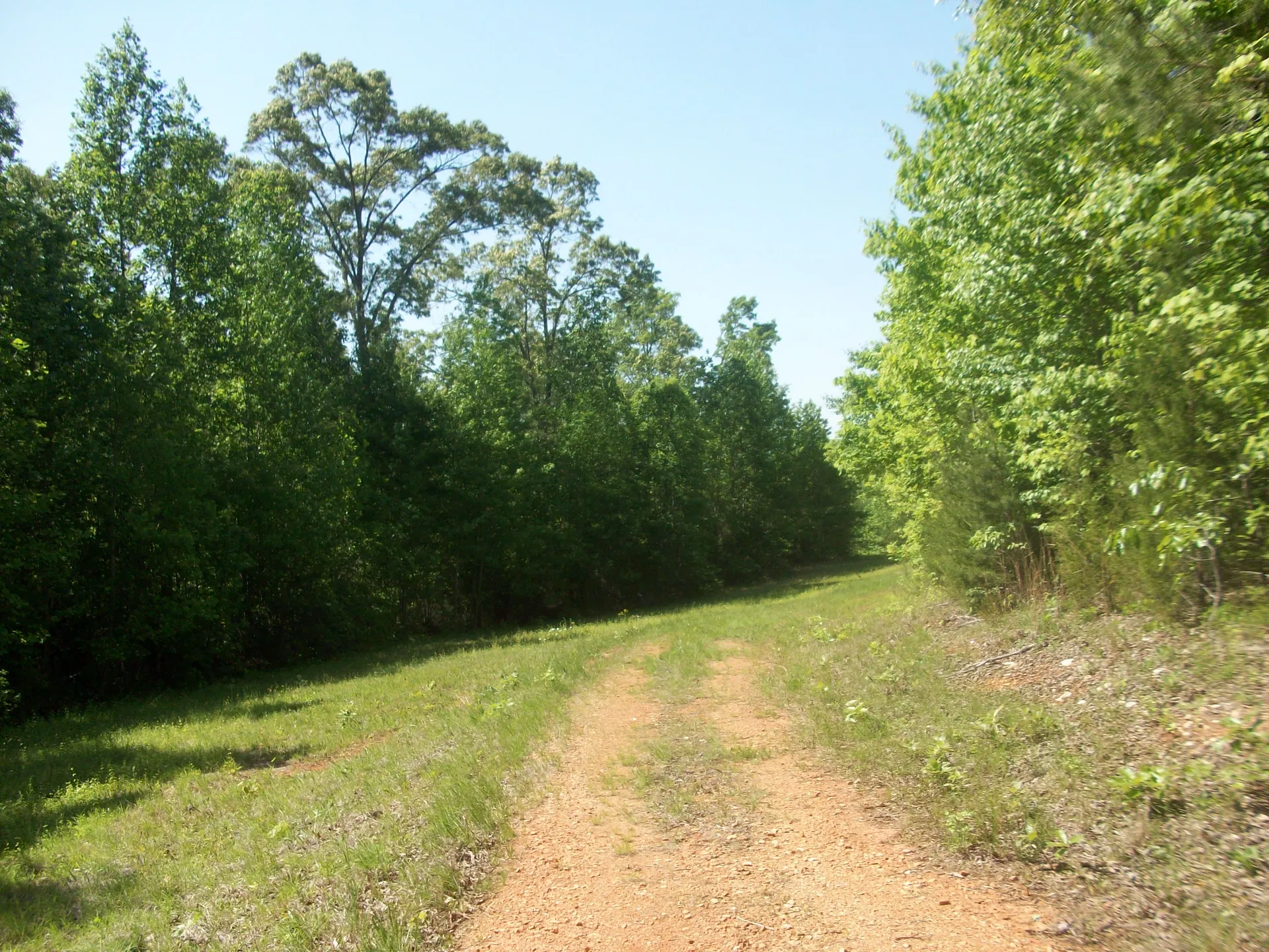 View looking towards the Triple C Rail Trail along the access trail in the James Ross Wildlife Reservation