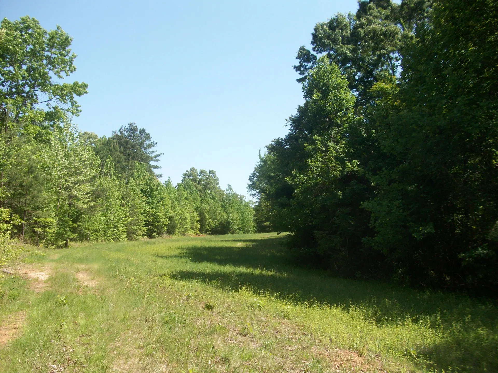 View of the access trail headed towards the entrance to the James Ross Wildlife Reservation