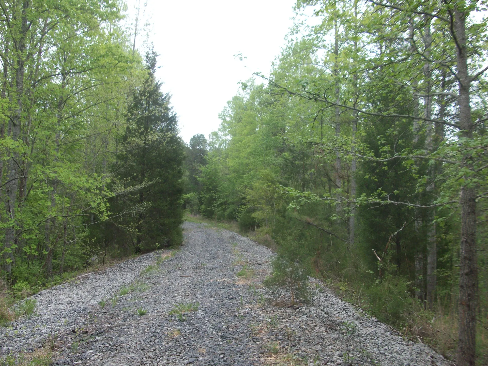 A view of the Triple C Rail Trail near Kings Creek, South Carolina. The track was removed from this section around 2007.