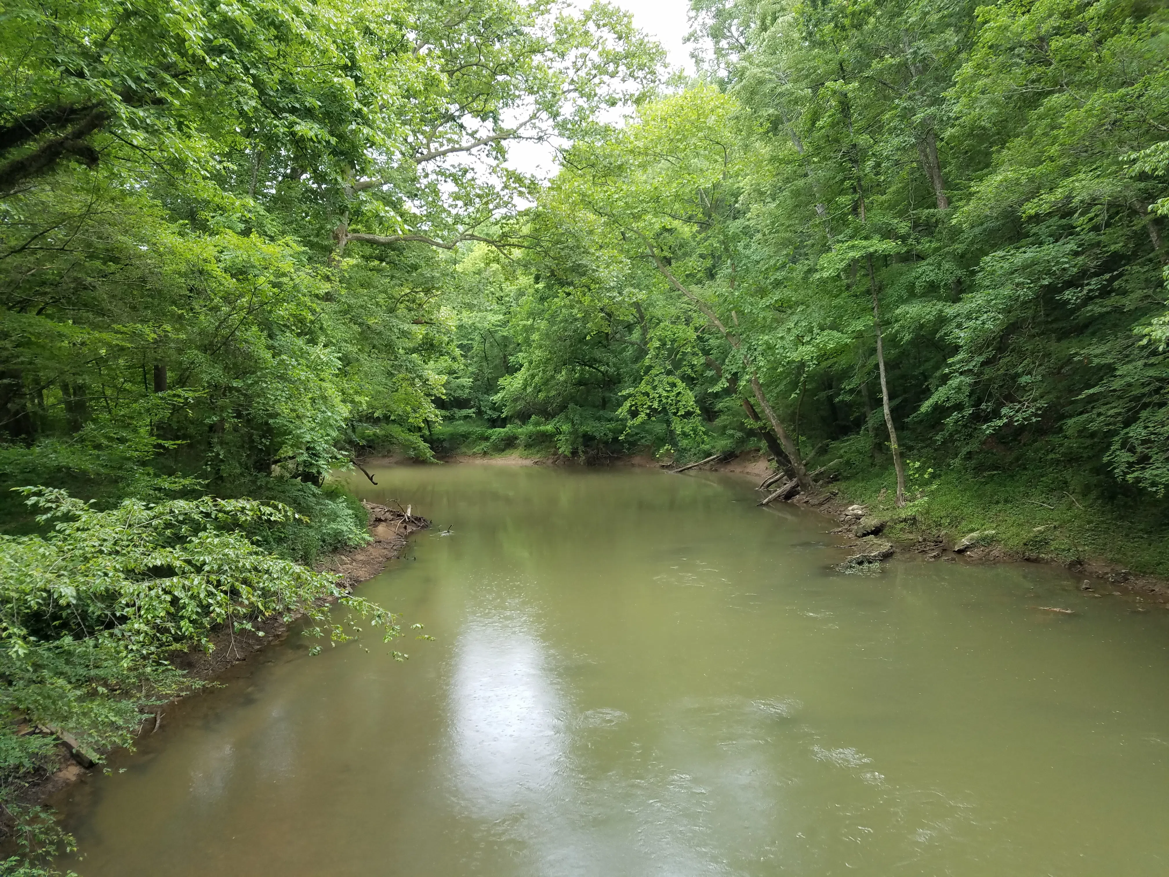 View of South Chickamauga Creek from the Facilities Bridge at Audubon Acres in Chattanooga, Tennessee. — License: