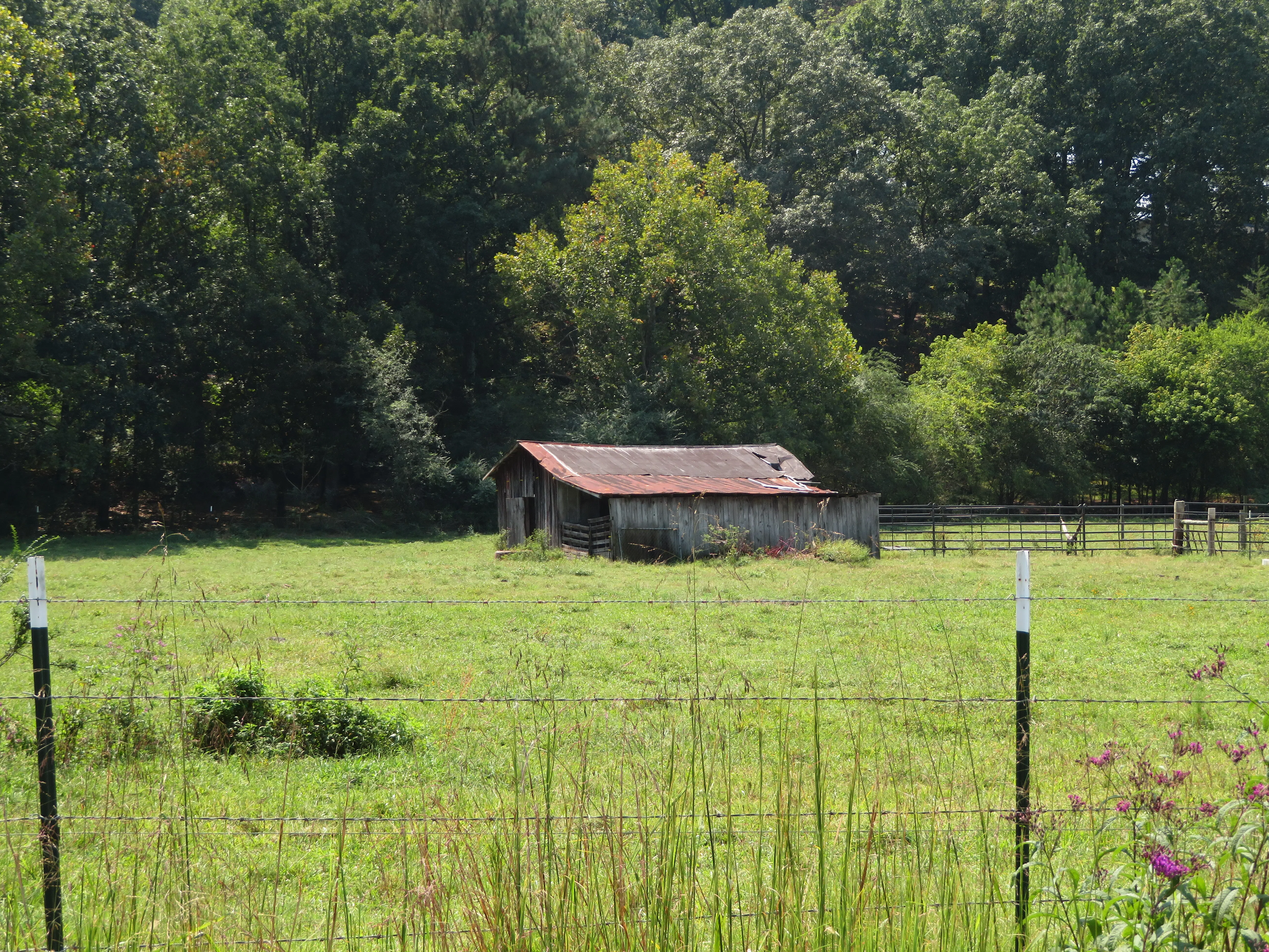 Pasture near Fairview, Georgia. — License: