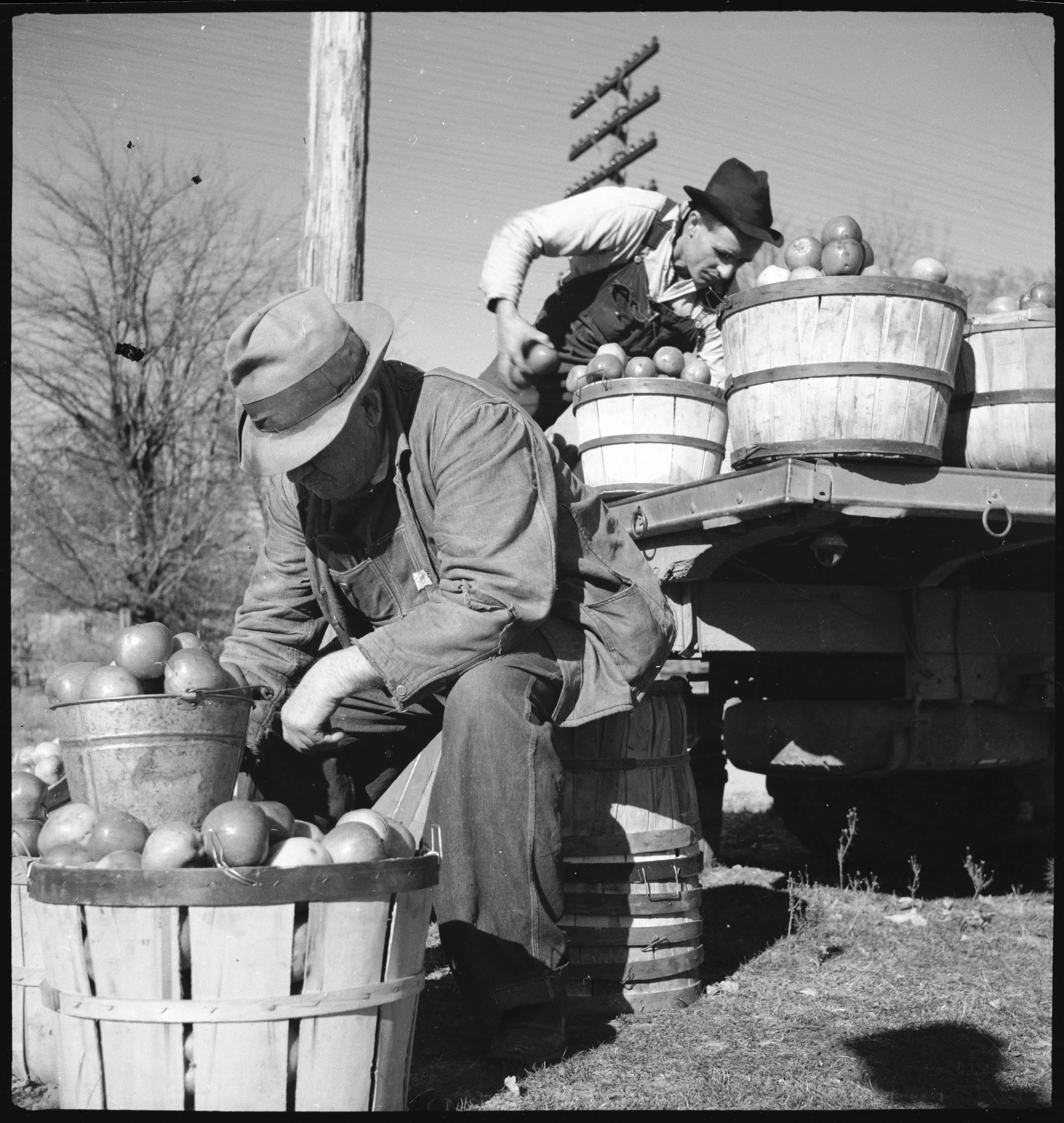 Historic 1930s photograph: men unloading apples in Monteagle, Tennessee, by Annemarie Schwarzenbach (Swiss National Library collection).  — License: