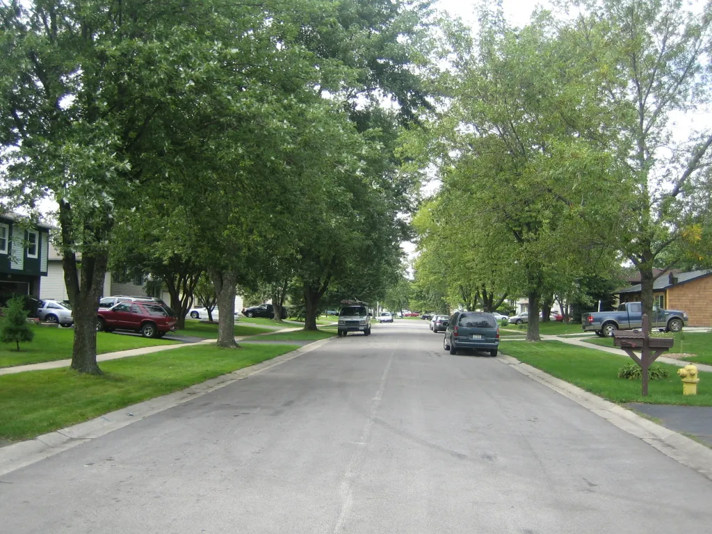 Your average neighborhood street in Bolingbrook, IL.