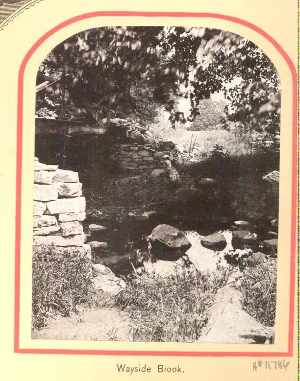 From the Wabash Railway Views photograph album, an 1879 view of scenic Wayside Brook in Williamsport, Indiana. The brook is surrounded by rocky bluffs and trees. Terms associated with the photograph are: Wayside Brook (Williamsport, Indiana) | rivers - Indiana - Williamsport | Williamsport (Ind.) |