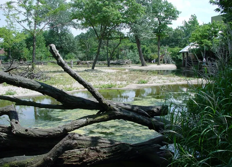 Brookfield Zoo, Chicago, Illinois, USA
