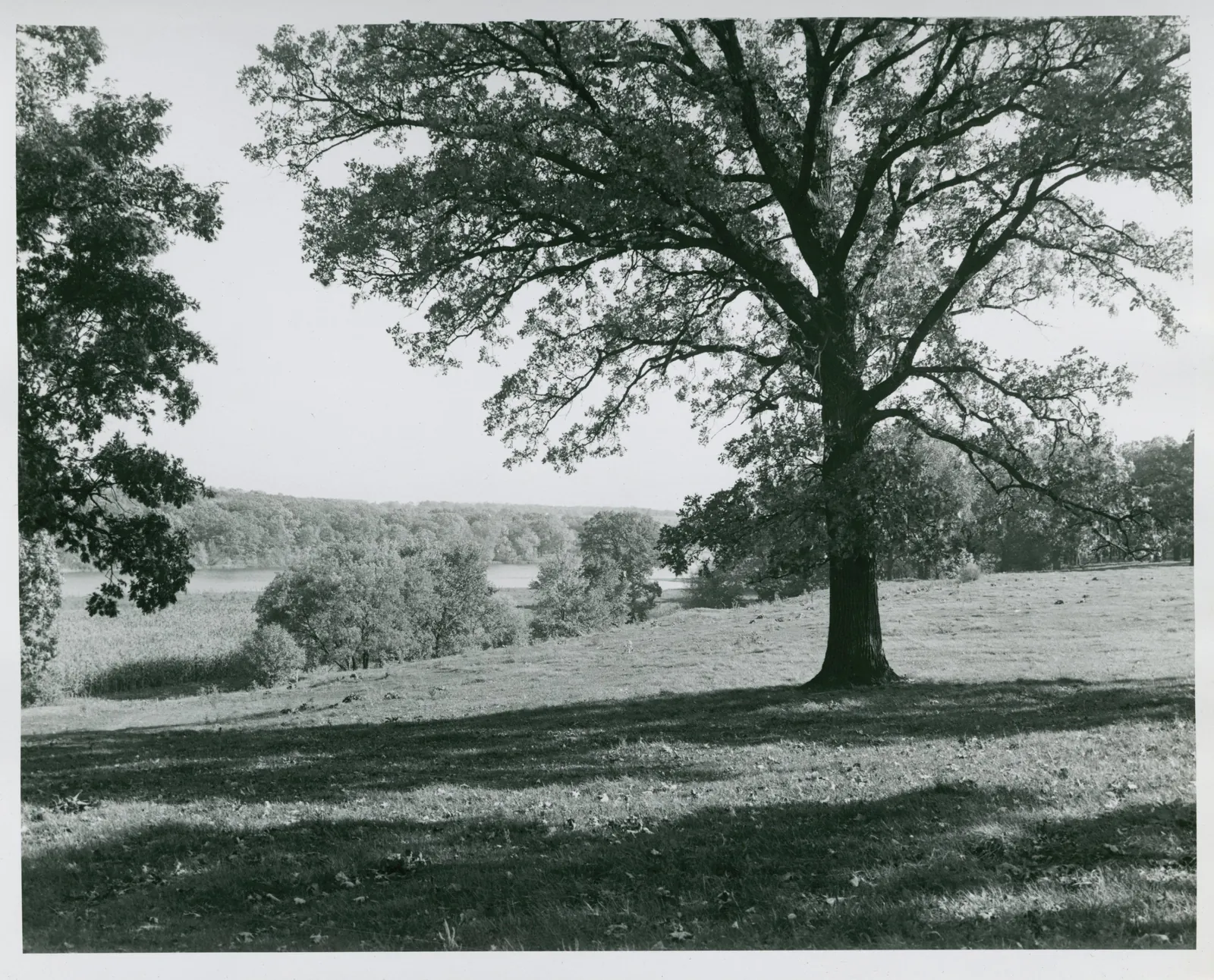 Countryside, Illinois, early to mid-20th century