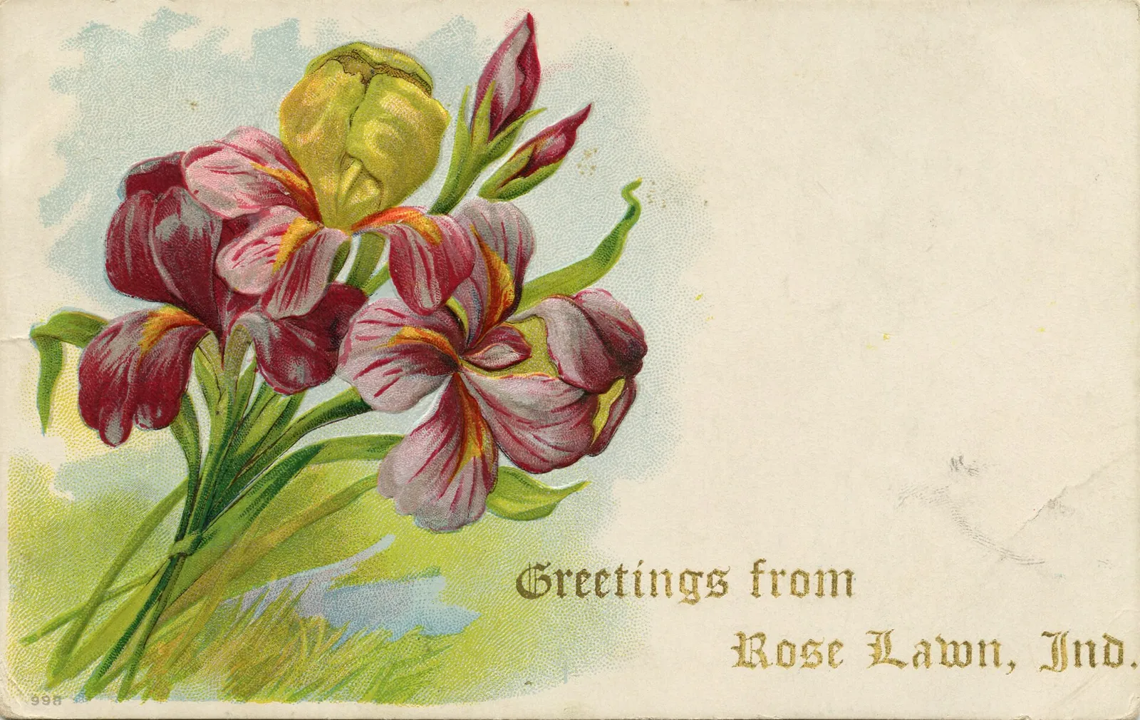 Greeting from Rose Lawn, Ind. Date: 1909 Source Type: Postcard Publisher: Unknown (#998) Postmark: January 8, 1910, Roselawn, Indiana Collection: Steven R. Shook Copyright 2019. Some rights reserved. The associated text may not be reproduced or transmitted in any form or by any means, electronic, me
