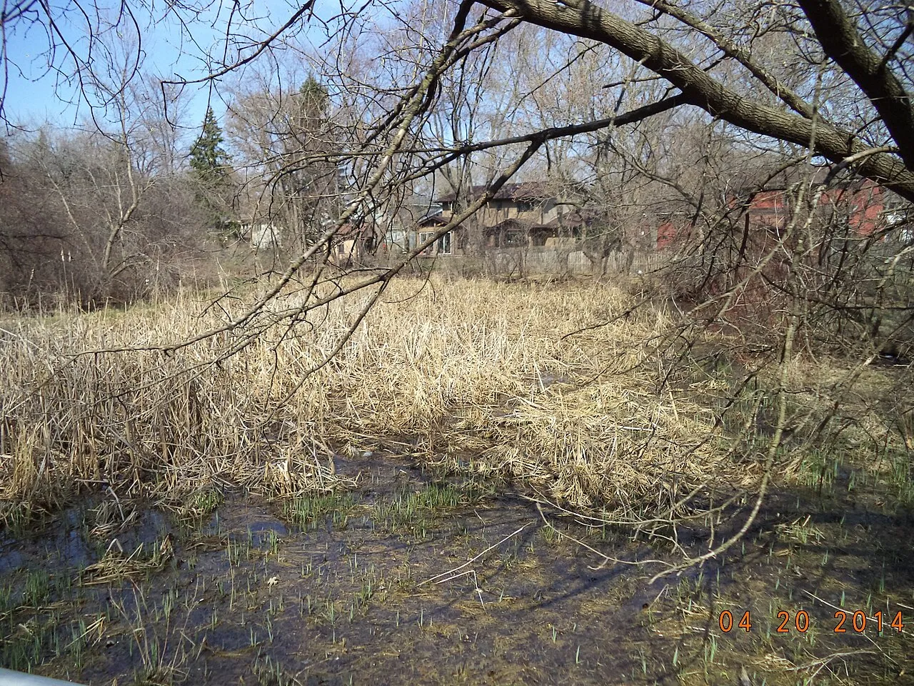 Oak Hollow Conservation Area, Schaumburg