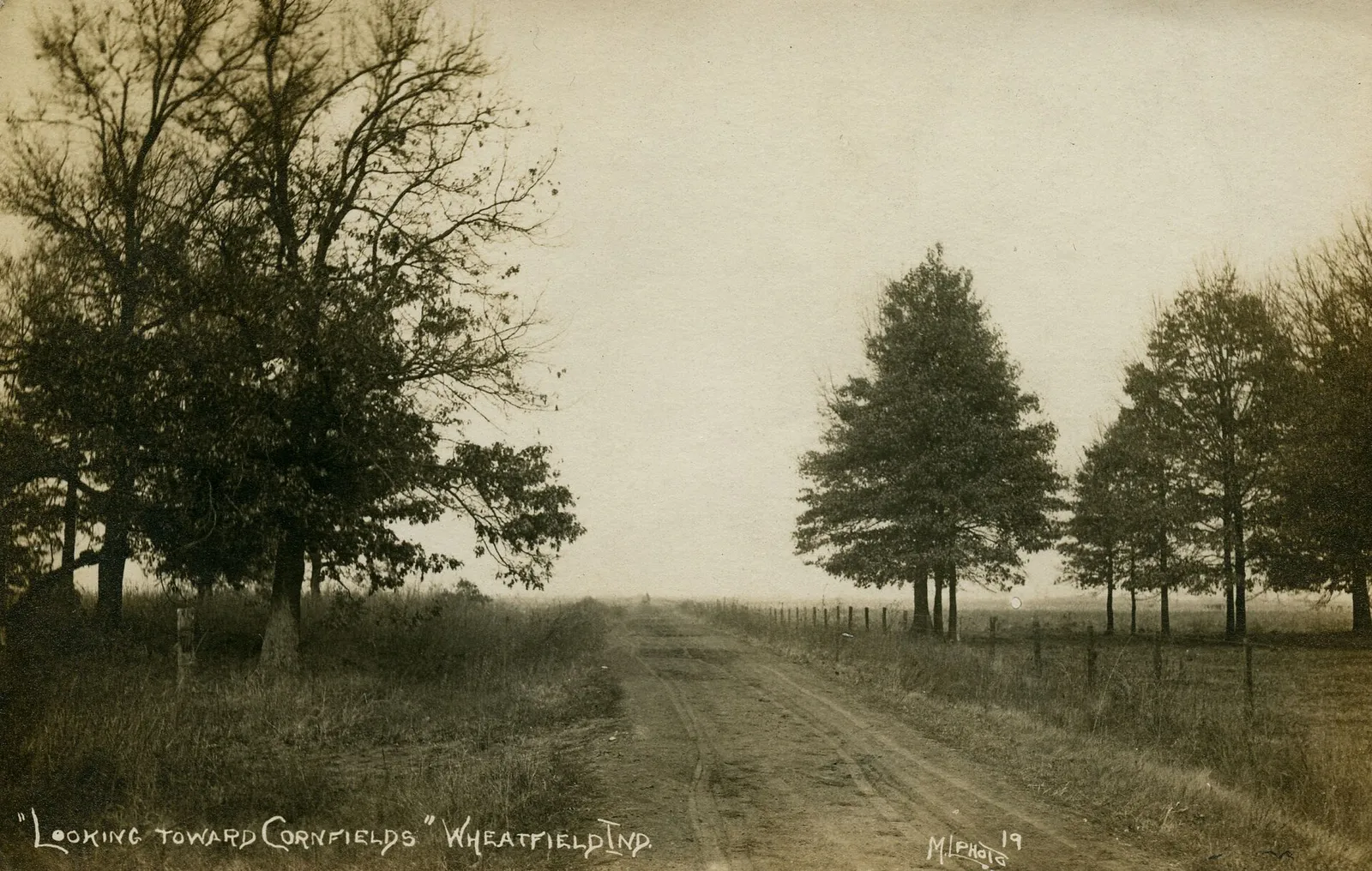 "LOOKING TOWARD CORNFIELDS" WHEATFIELD IND. Date: Circa 1909 Source Type: Postcard Publisher, Printer, Photographer: M. L. Photo (#19) Postmark: August 18, 1911, Tefft, Indiana Collection: Steven R. Shook Copyright 2019. Some rights reserved. The associated text may not be reproduced or transmitted