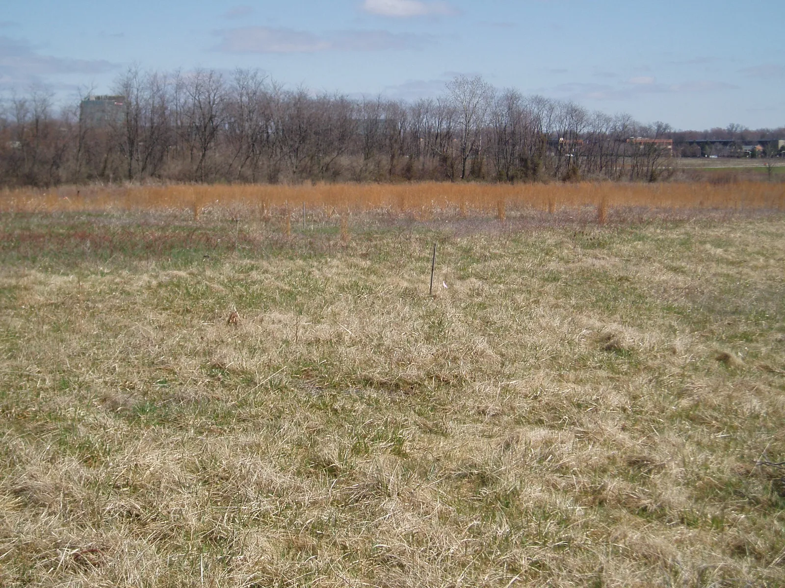 The City of Cincinnati was awarded a Clean Ohio Revitalization Fund grant to complete remediation activities at the Blue Ash Airport, located at 4273 Glendale-Milford Road in the City of Blue Ash. The land was first deve