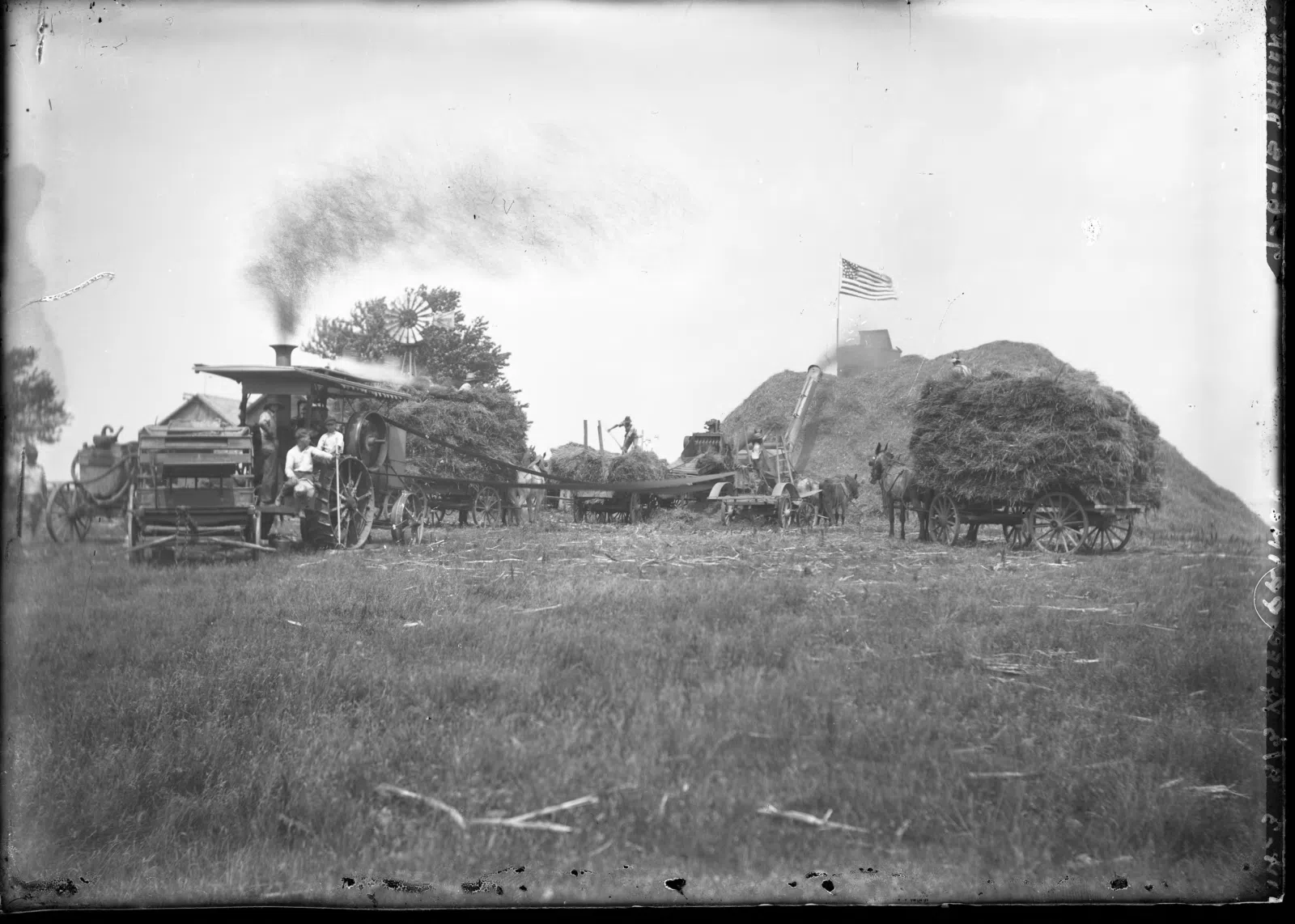 Threshing is the process of loosening the edible part of cereal grain (or other crop) from the scaly, inedible chaff that surrounds it. It is the step in grain preparation after harvesting and before winnowing, which sep