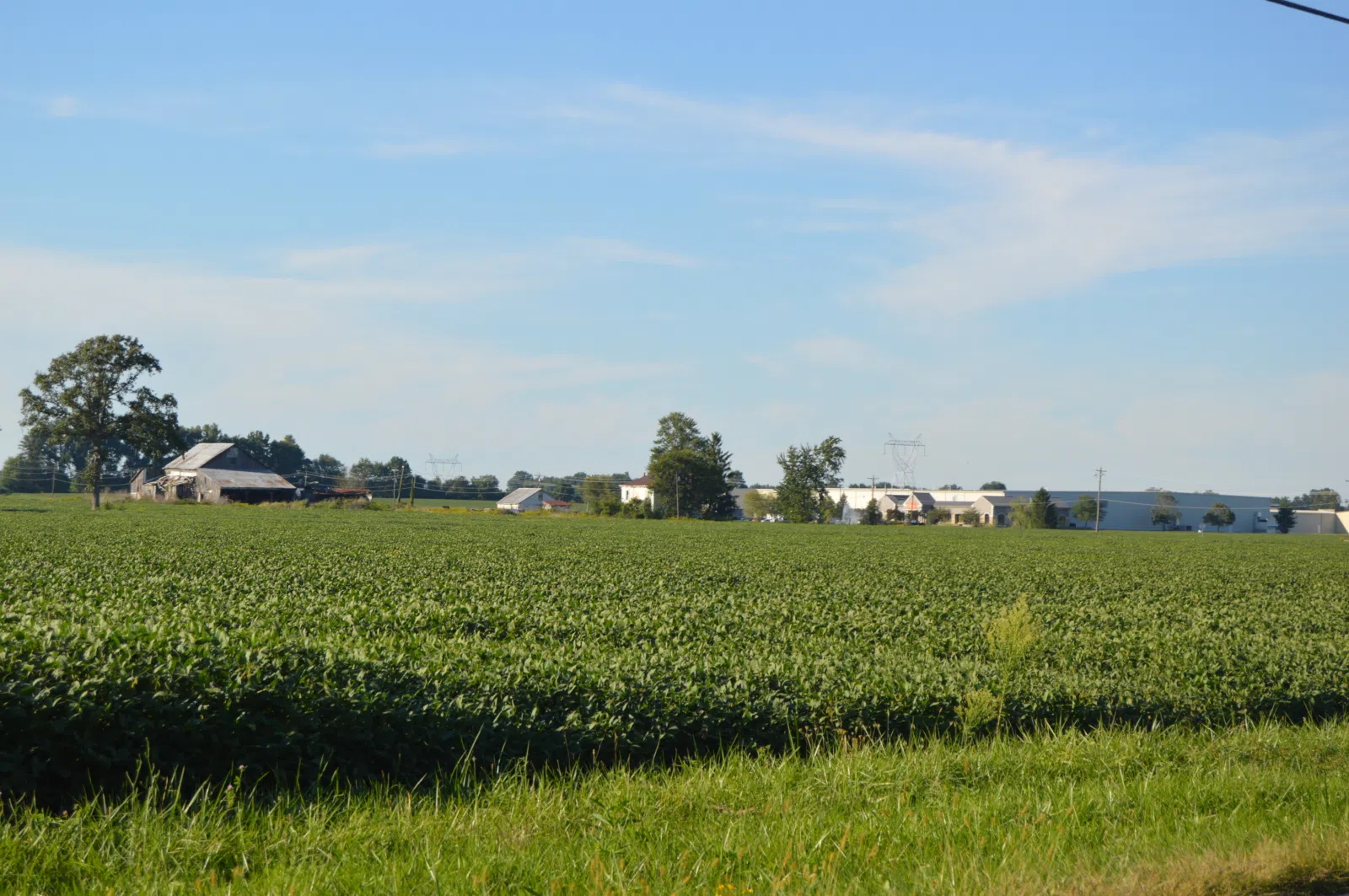 Fields on the western side of State Route 132 south of Pleasant Plain in southern Harlan Township, Warren County, Ohio, United States.
