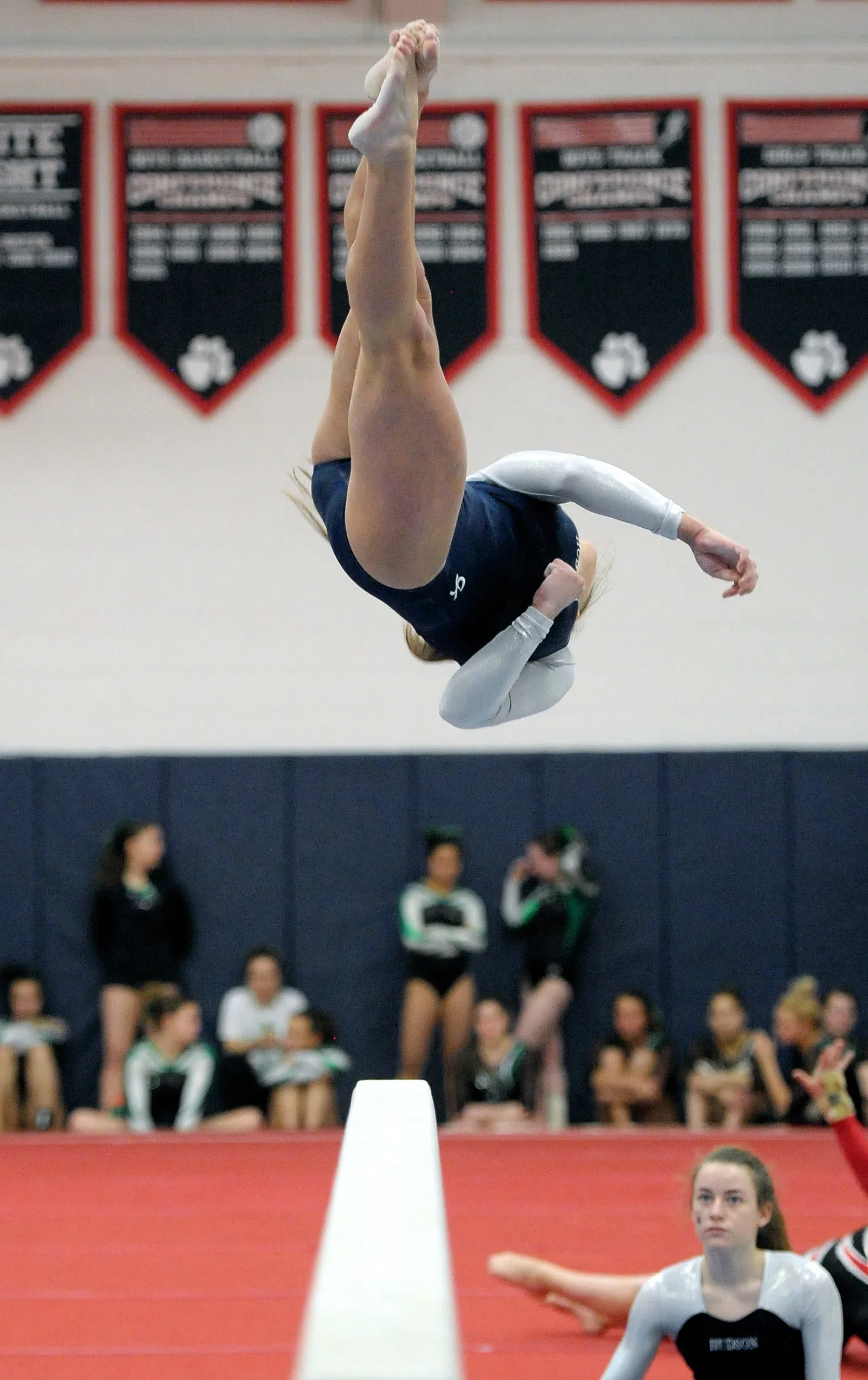 2015 District Championships at West Geauga High School (Chesterland, Ohio)