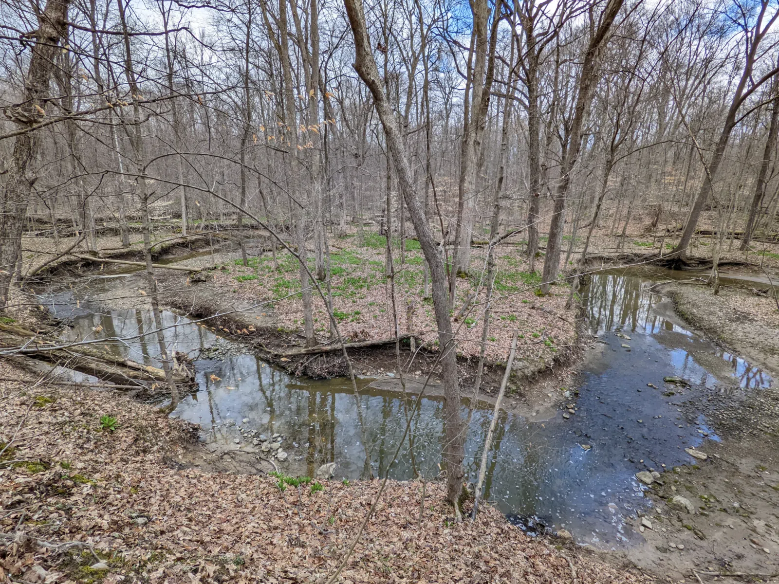 A small winding tributary to the Wellington Creek makes it way through Caley Reservation near LaGrange, Ohio on 9 April 2022. This tributary flows north-northwest into…