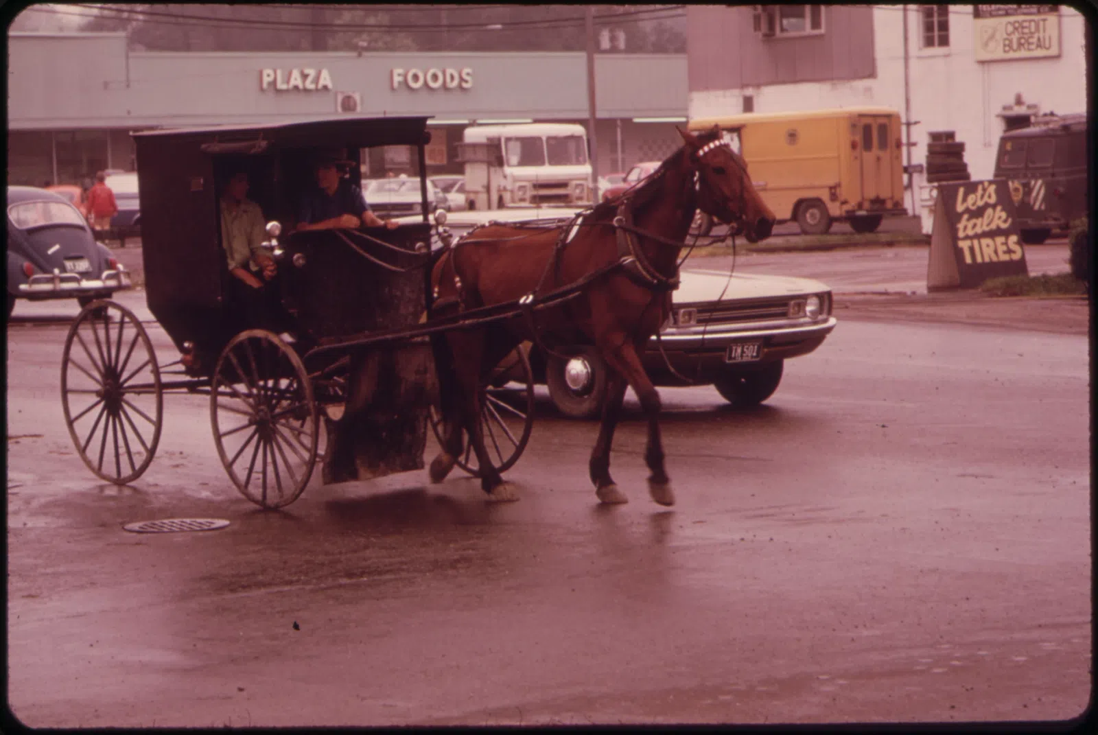 HORSE AND BUGGY MOVES OUT SMARTLY ON A STREET IN DOWNTOWN MIDDLEFIELD - NARA - 550087.jpg