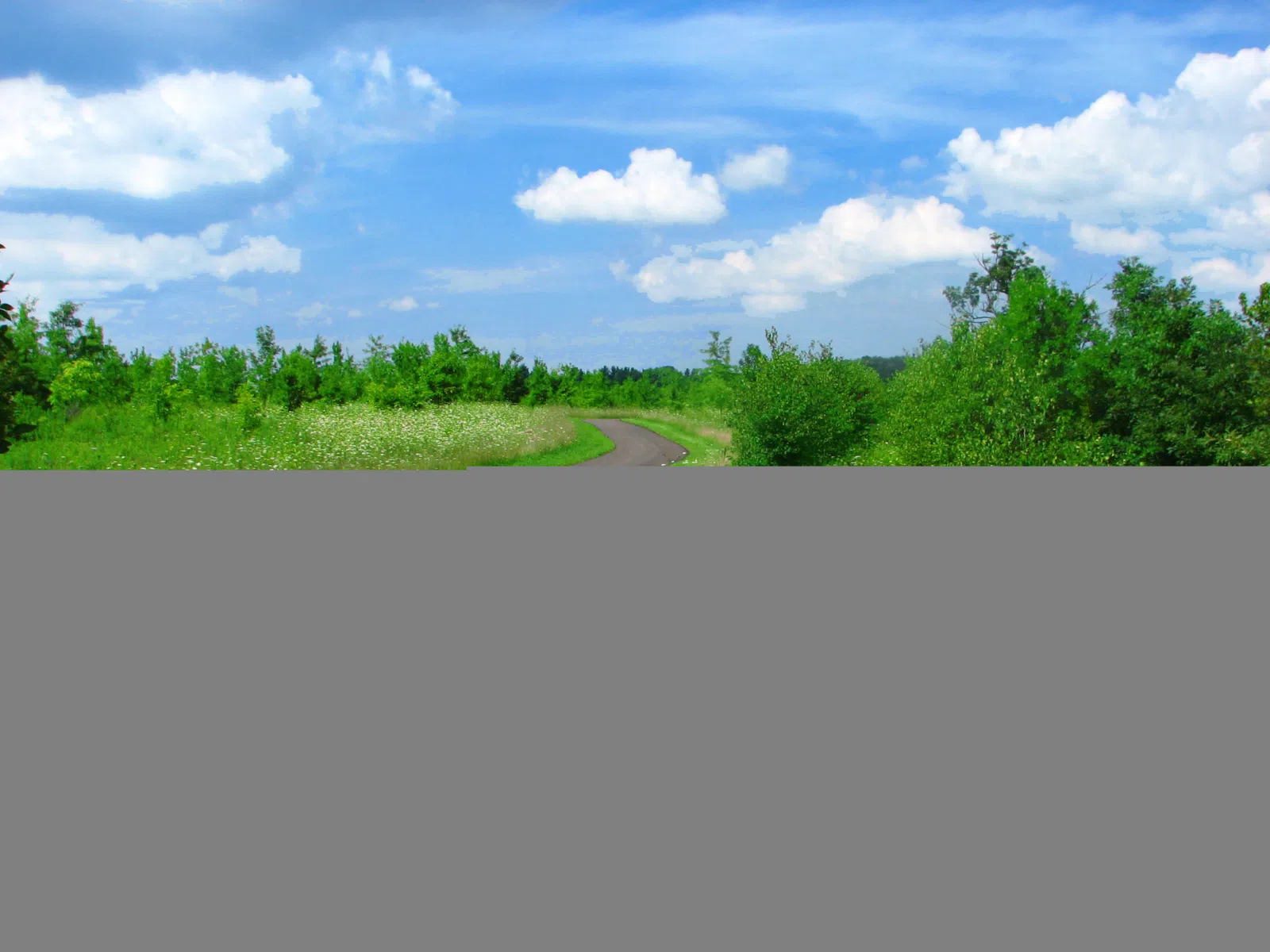 A multi-use path at the Wellington Reservation of the Lorain County Metro Parks. This has been nominated for the Lorain County Visitors Bureau's Lorain County Beautiful…