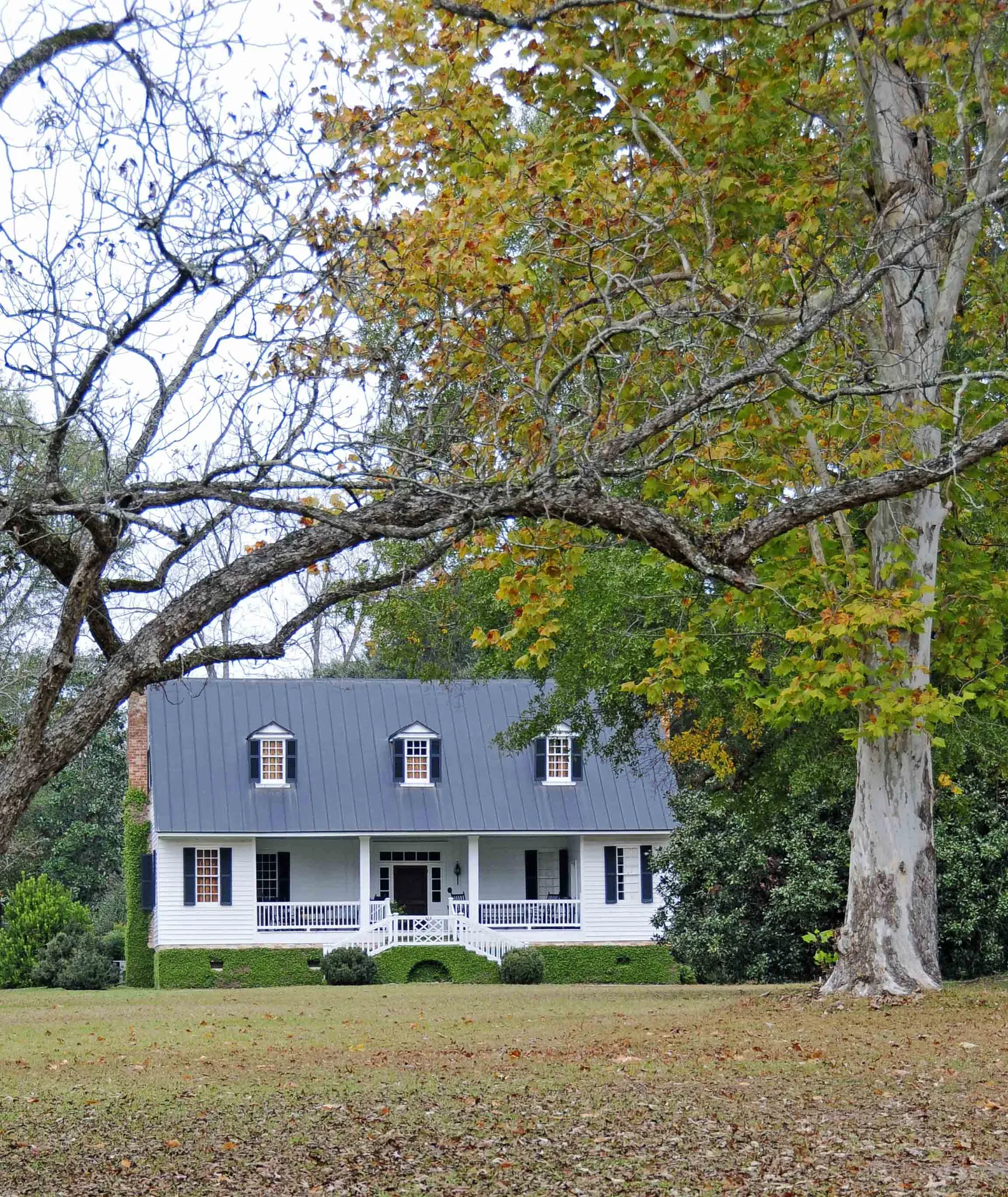 Ulmer Summers House, Cameron, South Carolina