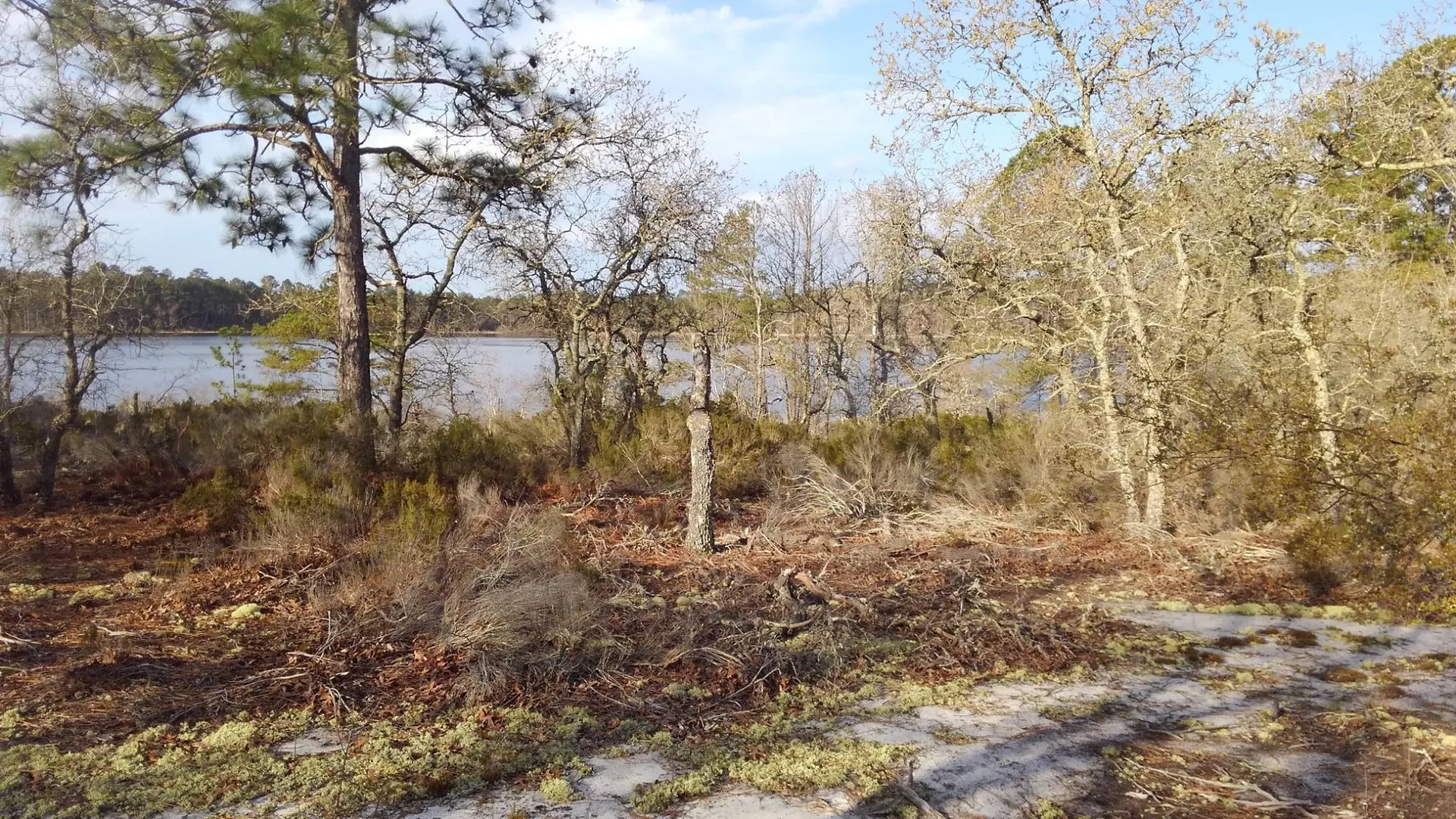 White Pond, notable landmark in Elgin, South Carolina