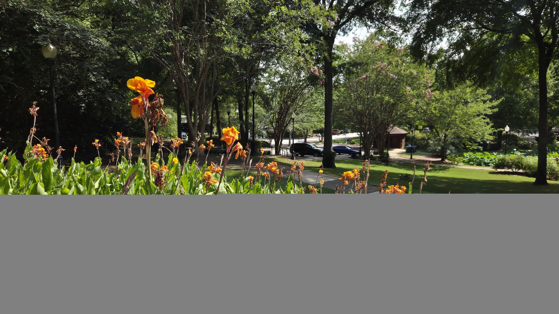 A picture of Irmo Town Park in Irmo, South Carolina