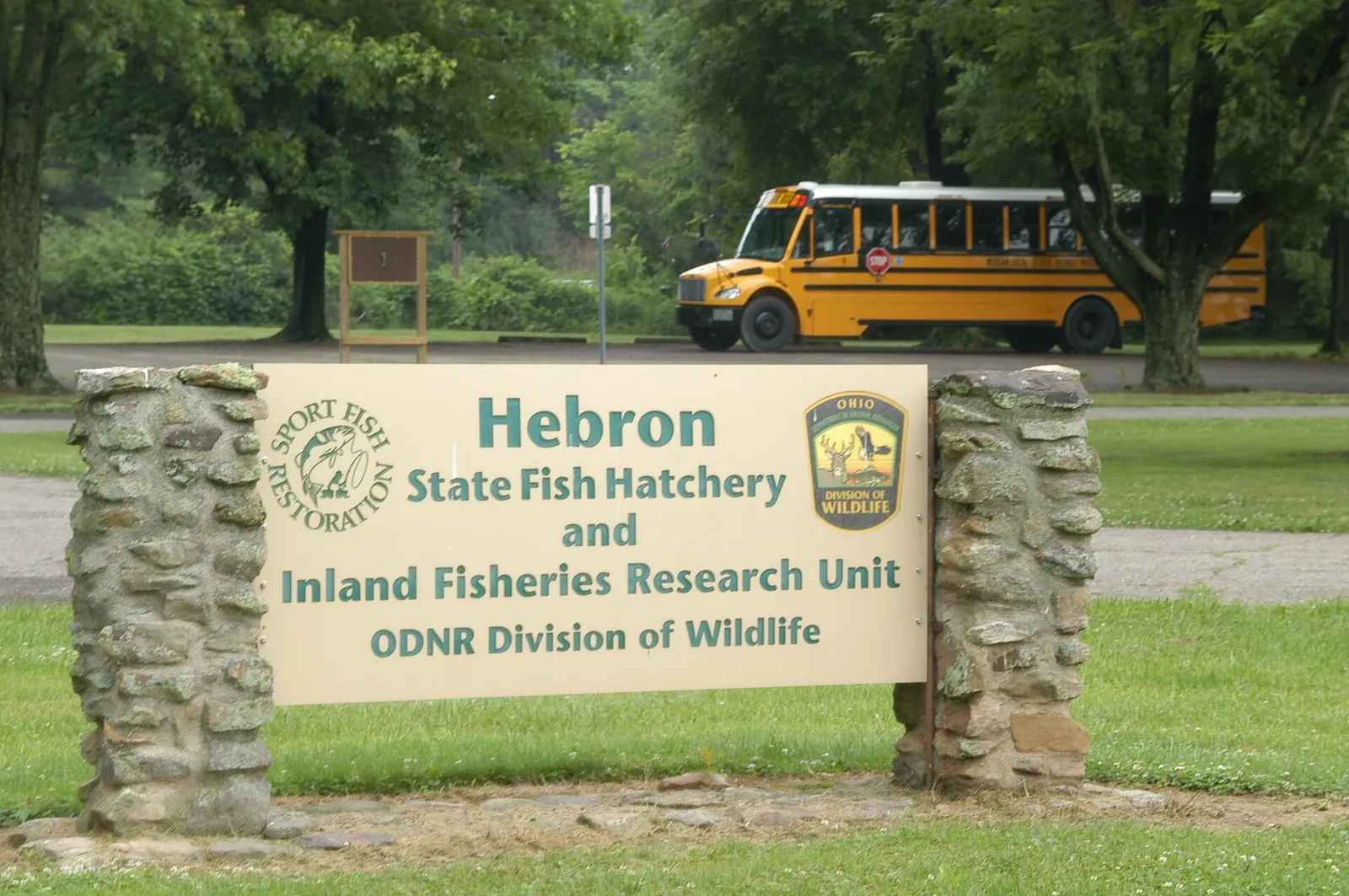 Blue Catfish Hebron Hatchery