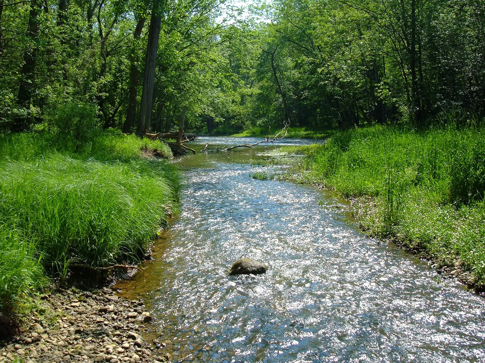 Nearby landmark: Big Darby Creek in Prairie Oaks Metro Park, near Lake Darby. No free-licensed photos of Lake Darby itself were found.