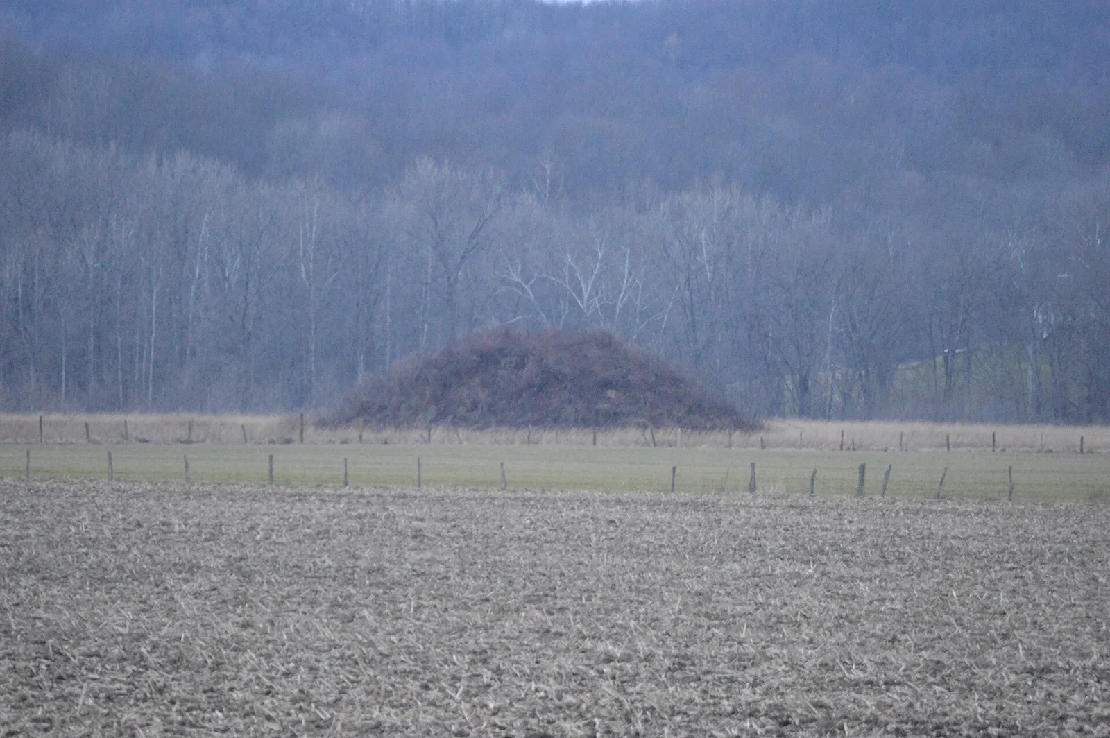 Distant view from the east of the Karshner Mound, located between Salt Creek and State Route 56 southeast of Laurelville in Salt Creek Township, Hocking County,