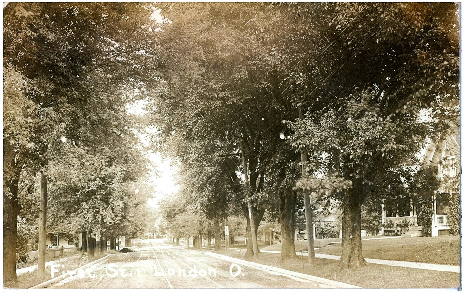 Black and white photograph of a tree lined dirt road with curb and gutter and trolly tracks; paved sidewalk but houses mostly obscured by trees.